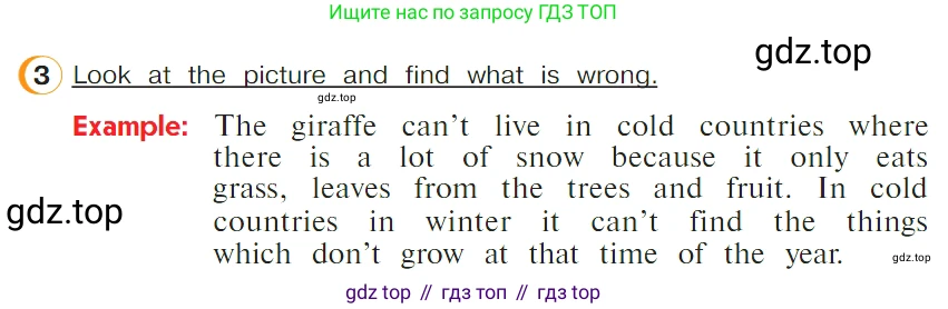 ГДЗ Английский язык (english), 4 класс Учебник (Student's book), авторы: Верещагина Ирина Николаевна (Vereshchagina Irina), Афанасьева Ольга Васильевна (Afanasyeva Olga), издательство Просвещение, Москва, 2023, серого цвета, Часть ( Part) 1, страница 19, номер 3, Условие