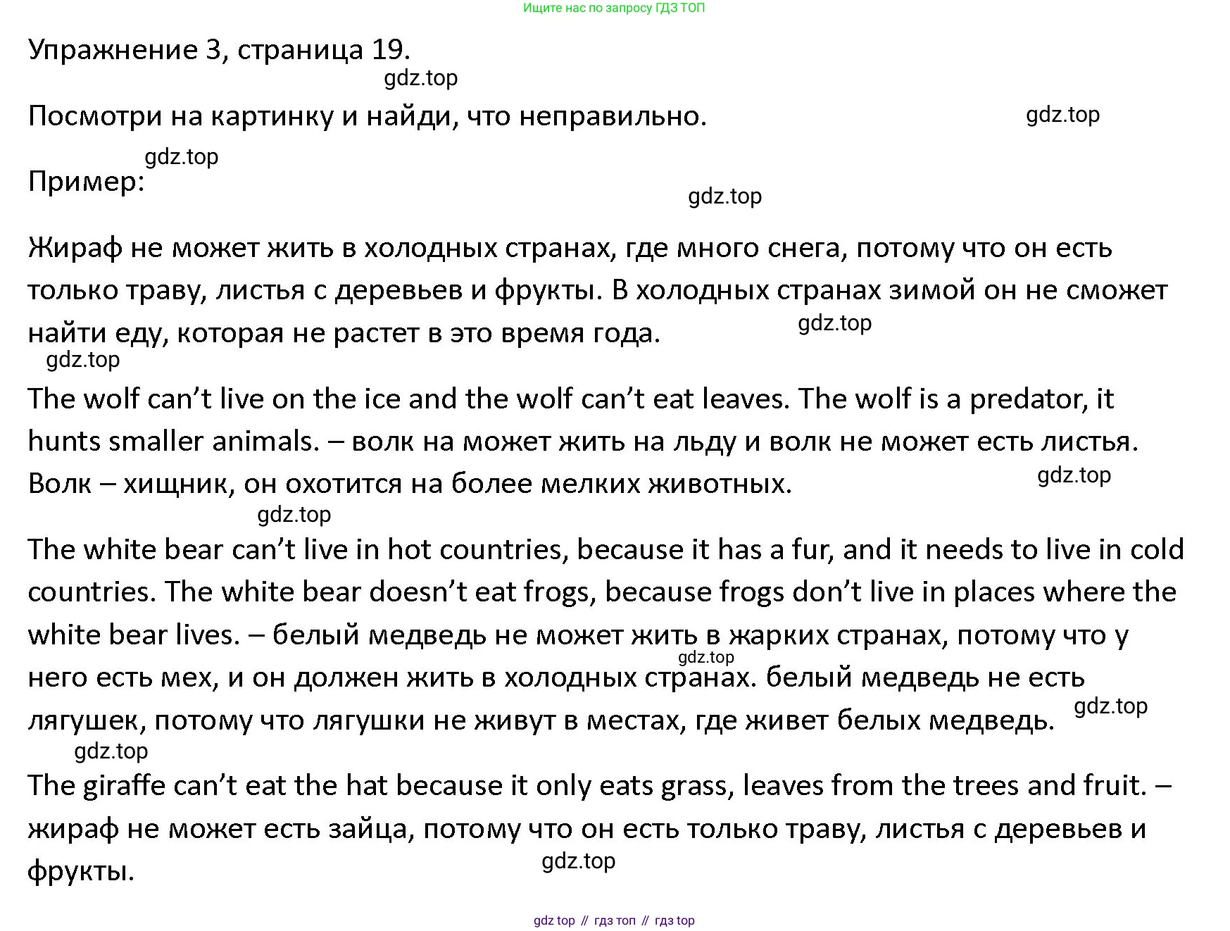 ГДЗ Английский язык (english), 4 класс Учебник (Student's book), авторы: Верещагина Ирина Николаевна (Vereshchagina Irina), Афанасьева Ольга Васильевна (Afanasyeva Olga), издательство Просвещение, Москва, 2023, серого цвета, Часть ( Part) 1, страница 19, номер 3, Решение 1