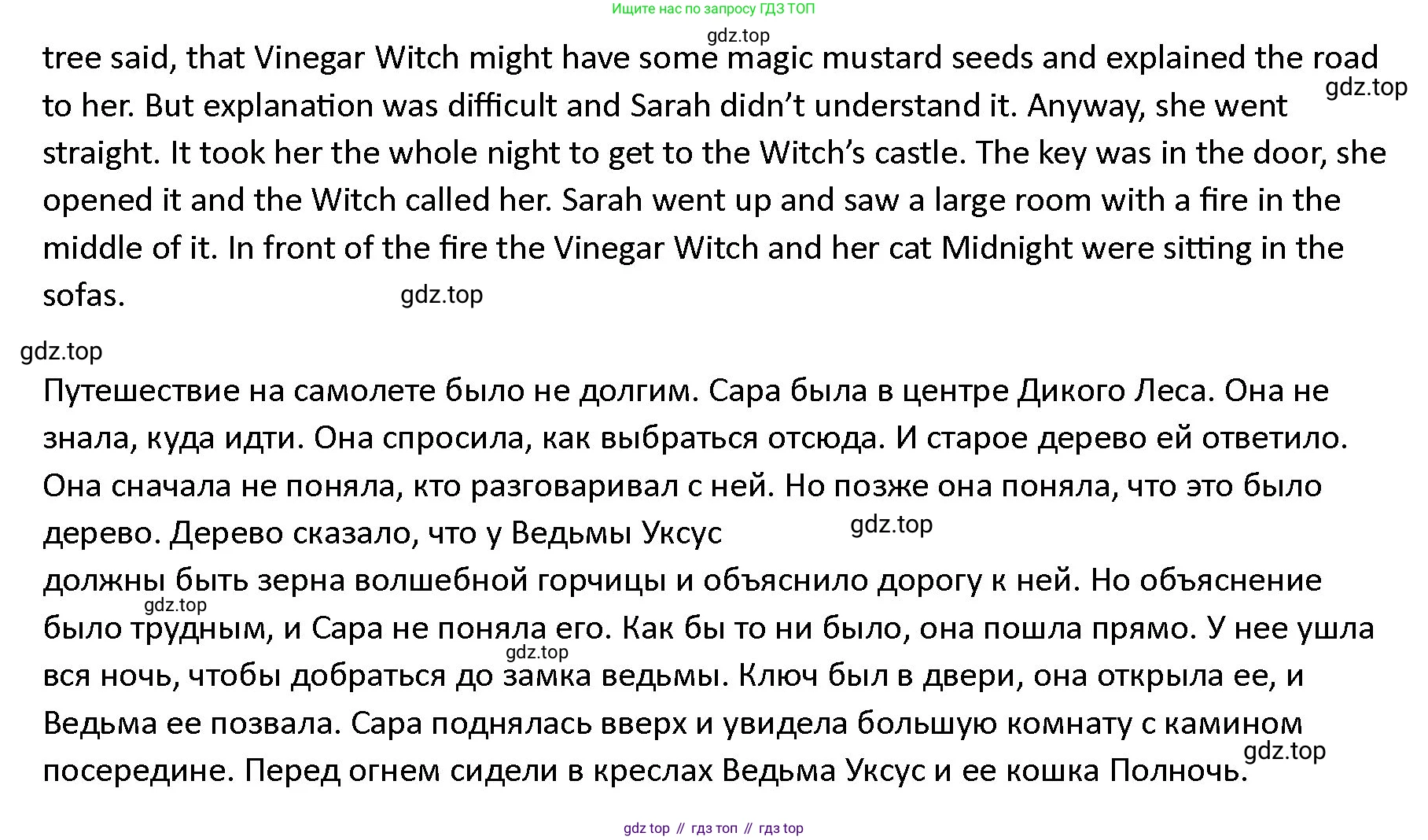 ГДЗ Английский язык (english), 4 класс Учебник (Student's book), авторы: Верещагина Ирина Николаевна (Vereshchagina Irina), Афанасьева Ольга Васильевна (Afanasyeva Olga), издательство Просвещение, Москва, 2023, серого цвета, Часть ( Part) 2, страница 25, номер 19, Решение 1 (продолжение 2)