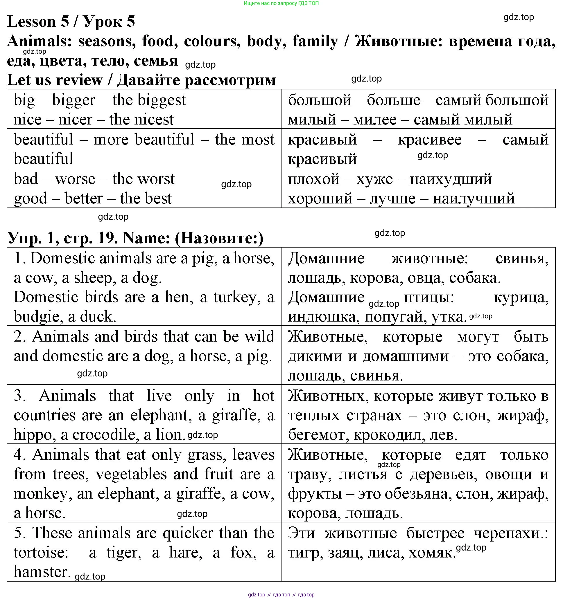 ГДЗ Английский язык (english), 4 класс Учебник (Student's book), авторы: Верещагина Ирина Николаевна (Vereshchagina Irina), Афанасьева Ольга Васильевна (Afanasyeva Olga), издательство Просвещение, Москва, 2023, серого цвета, Часть ( Part) 1, страница 19, номер 1, Решение 2
