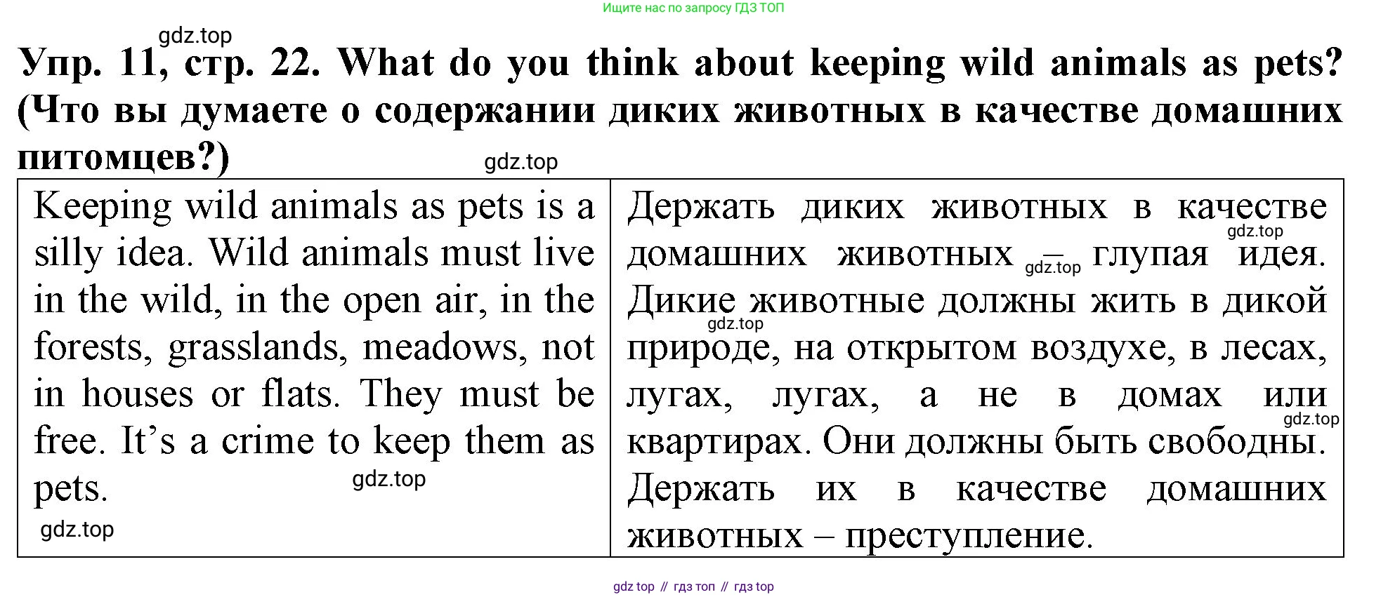 ГДЗ Английский язык (english), 4 класс Учебник (Student's book), авторы: Верещагина Ирина Николаевна (Vereshchagina Irina), Афанасьева Ольга Васильевна (Afanasyeva Olga), издательство Просвещение, Москва, 2023, серого цвета, Часть ( Part) 1, страница 22, номер 11, Решение 2