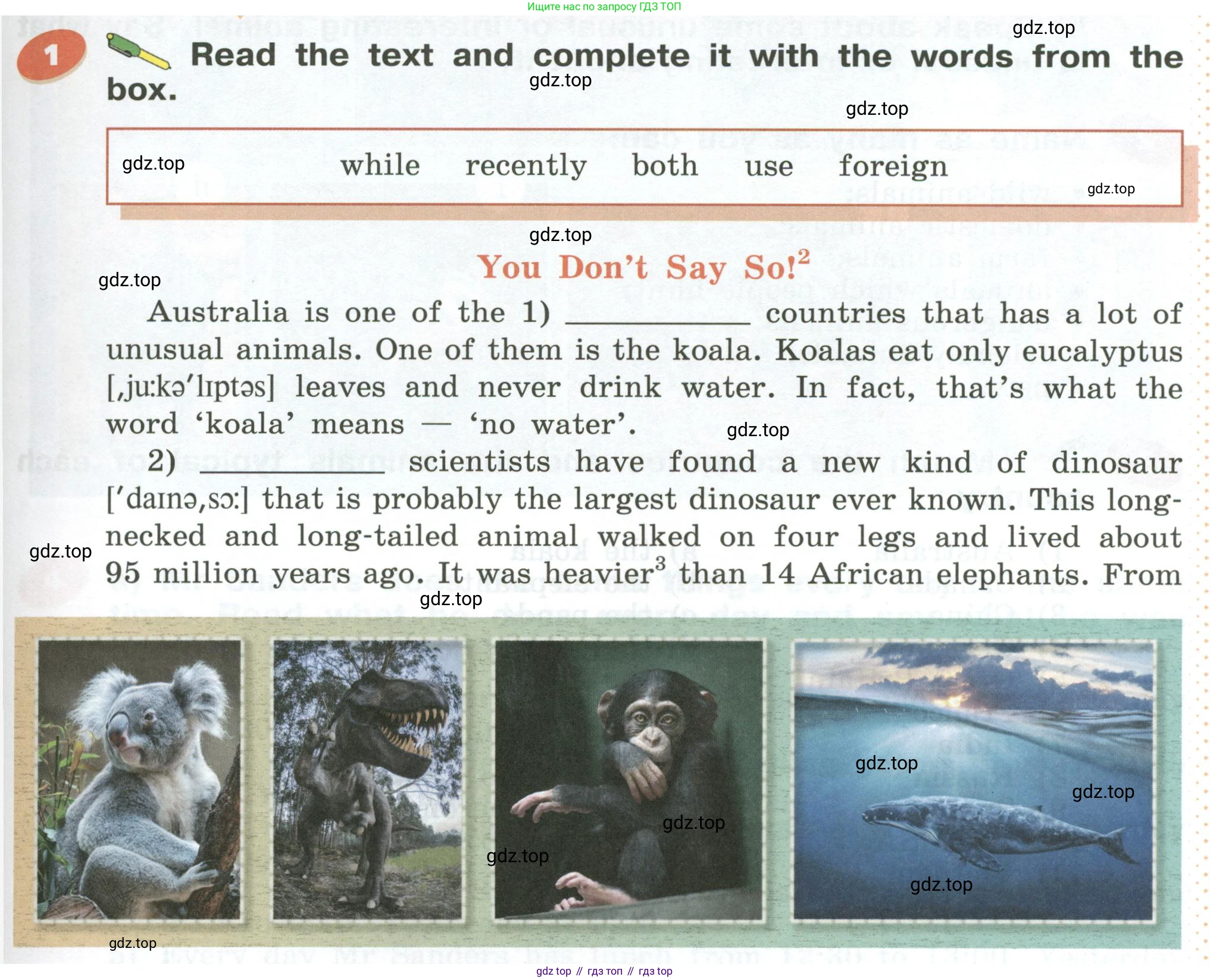 Английский язык (english), 5 класс Учебник (Student's book), авторы: Афанасьева Ольга Васильевна (Afanasyeva Olga), Михеева Ирина Владимировна (Mikheeva Irina), Баранова Ксения Михайловна (Baranova Ksenia), издательство Просвещение, Москва, 2023, зелёного цвета, Часть ( Part) 1, страница 133, номер 1, Условие