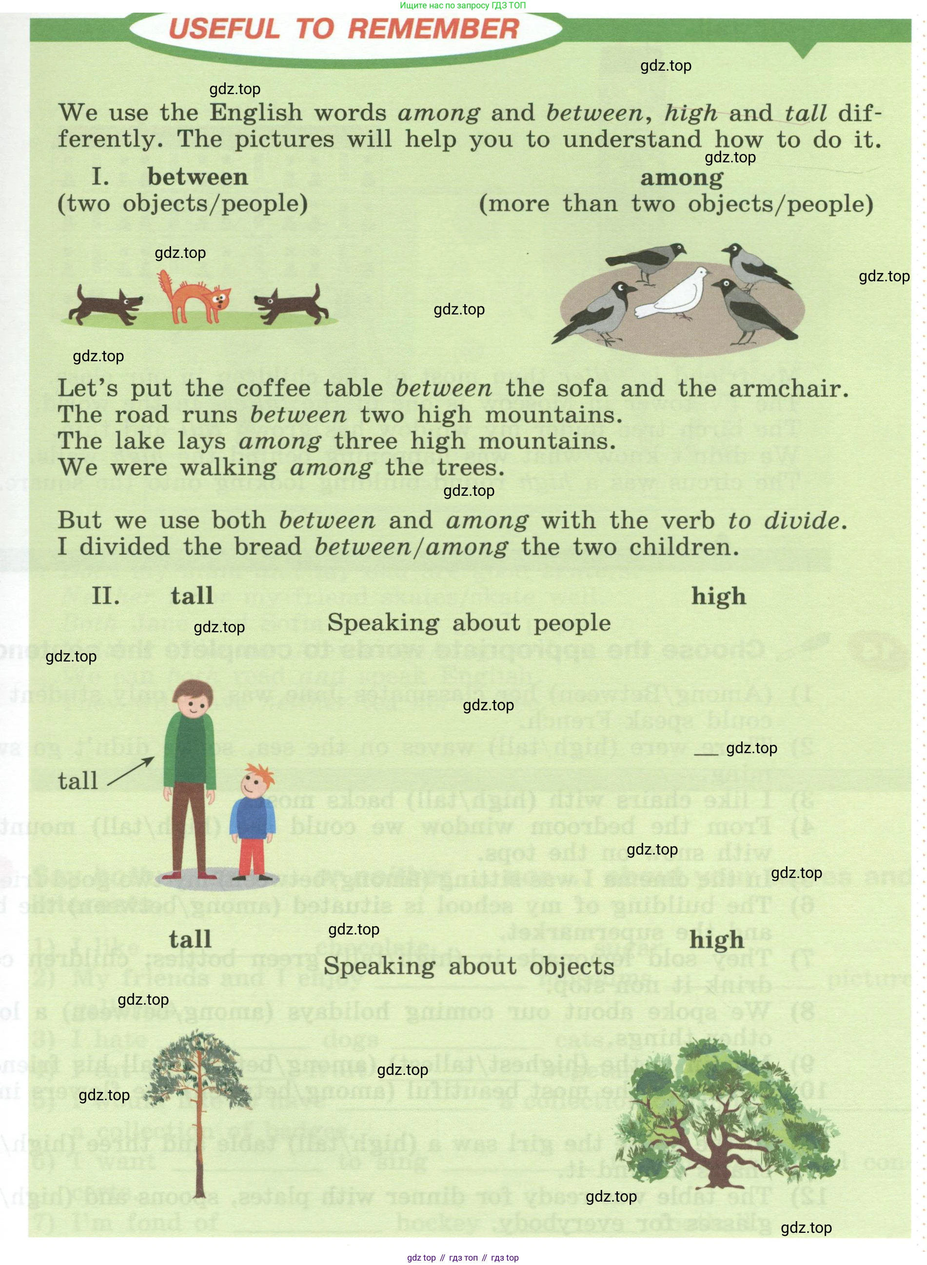 Английский язык (english), 5 класс Учебник (Student's book), авторы: Афанасьева Ольга Васильевна (Afanasyeva Olga), Михеева Ирина Владимировна (Mikheeva Irina), Баранова Ксения Михайловна (Baranova Ksenia), издательство Просвещение, Москва, 2023, зелёного цвета, Часть ( Part) 1, страница 140, номер 13, Условие (продолжение 2)