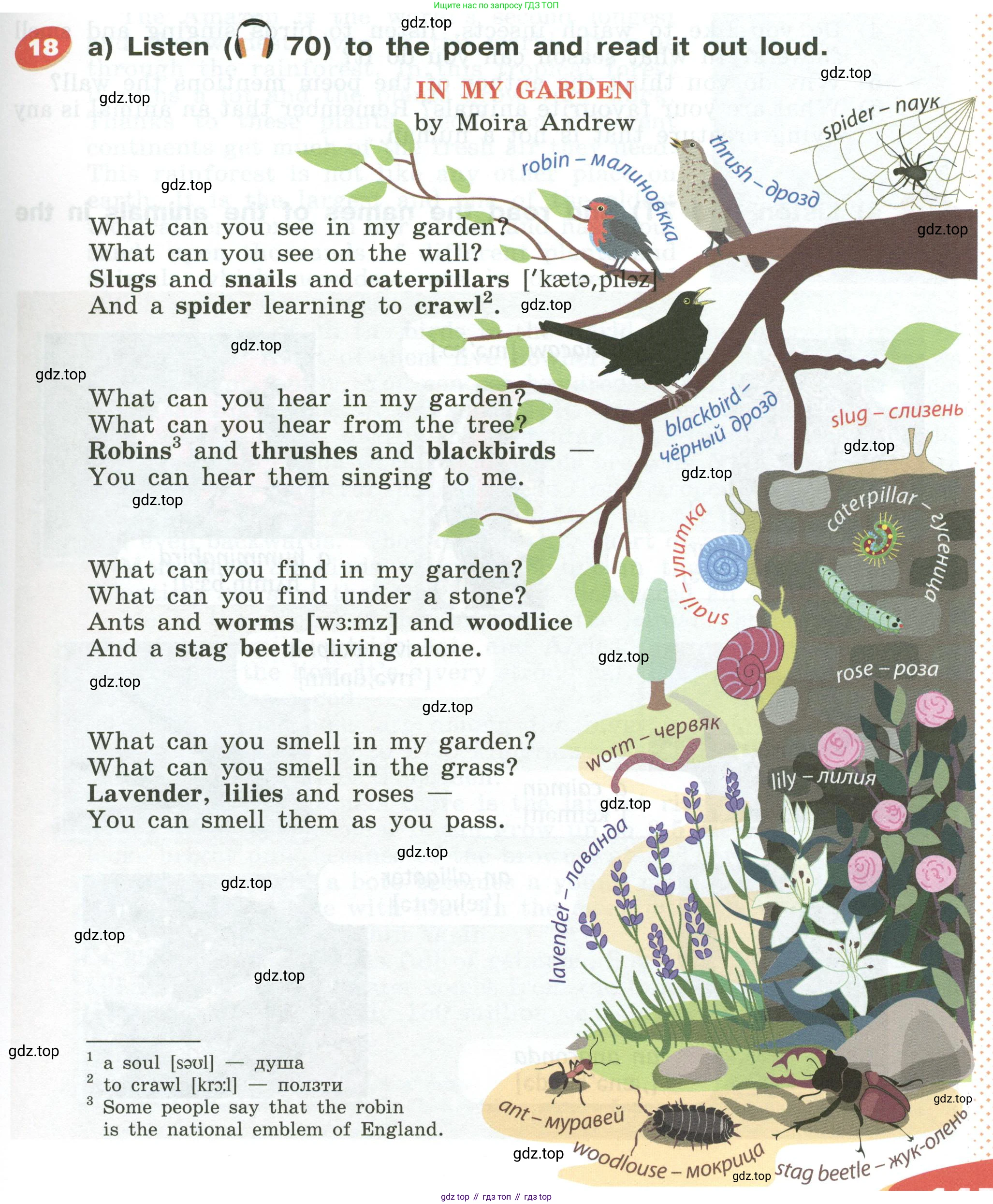 Английский язык (english), 5 класс Учебник (Student's book), авторы: Афанасьева Ольга Васильевна (Afanasyeva Olga), Михеева Ирина Владимировна (Mikheeva Irina), Баранова Ксения Михайловна (Baranova Ksenia), издательство Просвещение, Москва, 2023, зелёного цвета, Часть ( Part) 1, страница 145, номер 18, Условие