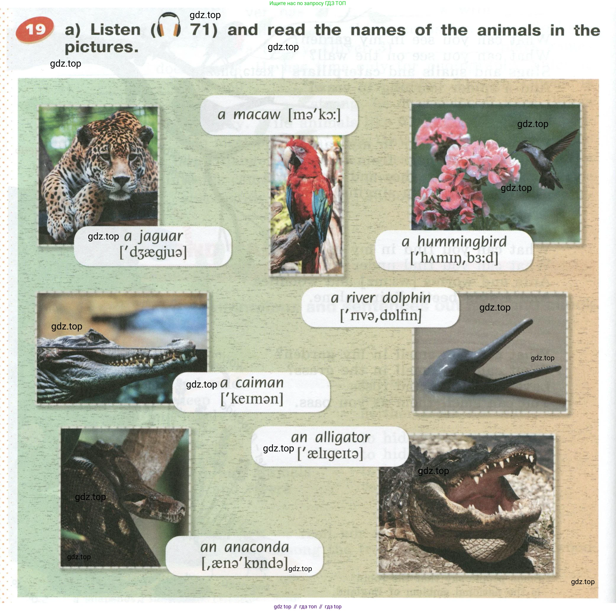 Английский язык (english), 5 класс Учебник (Student's book), авторы: Афанасьева Ольга Васильевна (Afanasyeva Olga), Михеева Ирина Владимировна (Mikheeva Irina), Баранова Ксения Михайловна (Baranova Ksenia), издательство Просвещение, Москва, 2023, зелёного цвета, Часть ( Part) 1, страница 146, номер 19, Условие