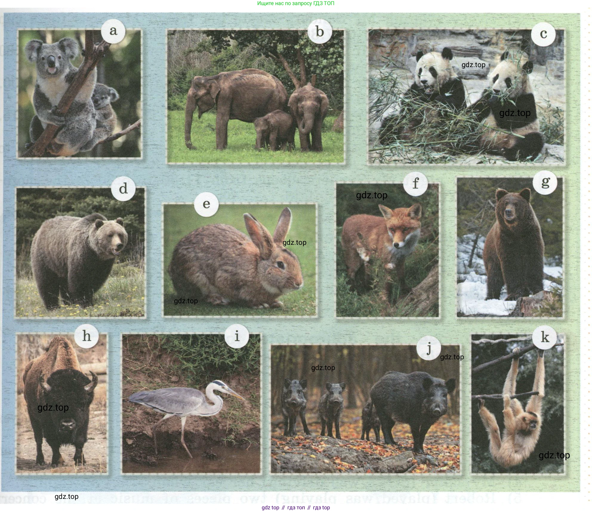 Английский язык (english), 5 класс Учебник (Student's book), авторы: Афанасьева Ольга Васильевна (Afanasyeva Olga), Михеева Ирина Владимировна (Mikheeva Irina), Баранова Ксения Михайловна (Baranova Ksenia), издательство Просвещение, Москва, 2023, зелёного цвета, Часть ( Part) 1, страница 134, номер 3, Условие (продолжение 2)
