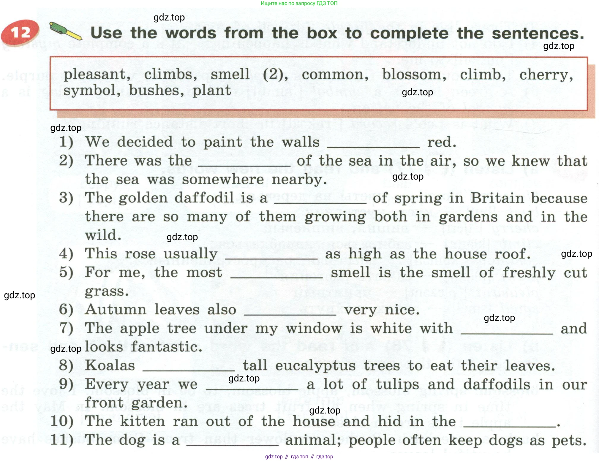 Английский язык (english), 5 класс Учебник (Student's book), авторы: Афанасьева Ольга Васильевна (Afanasyeva Olga), Михеева Ирина Владимировна (Mikheeva Irina), Баранова Ксения Михайловна (Baranova Ksenia), издательство Просвещение, Москва, 2023, зелёного цвета, Часть ( Part) 1, страница 162, номер 12, Условие