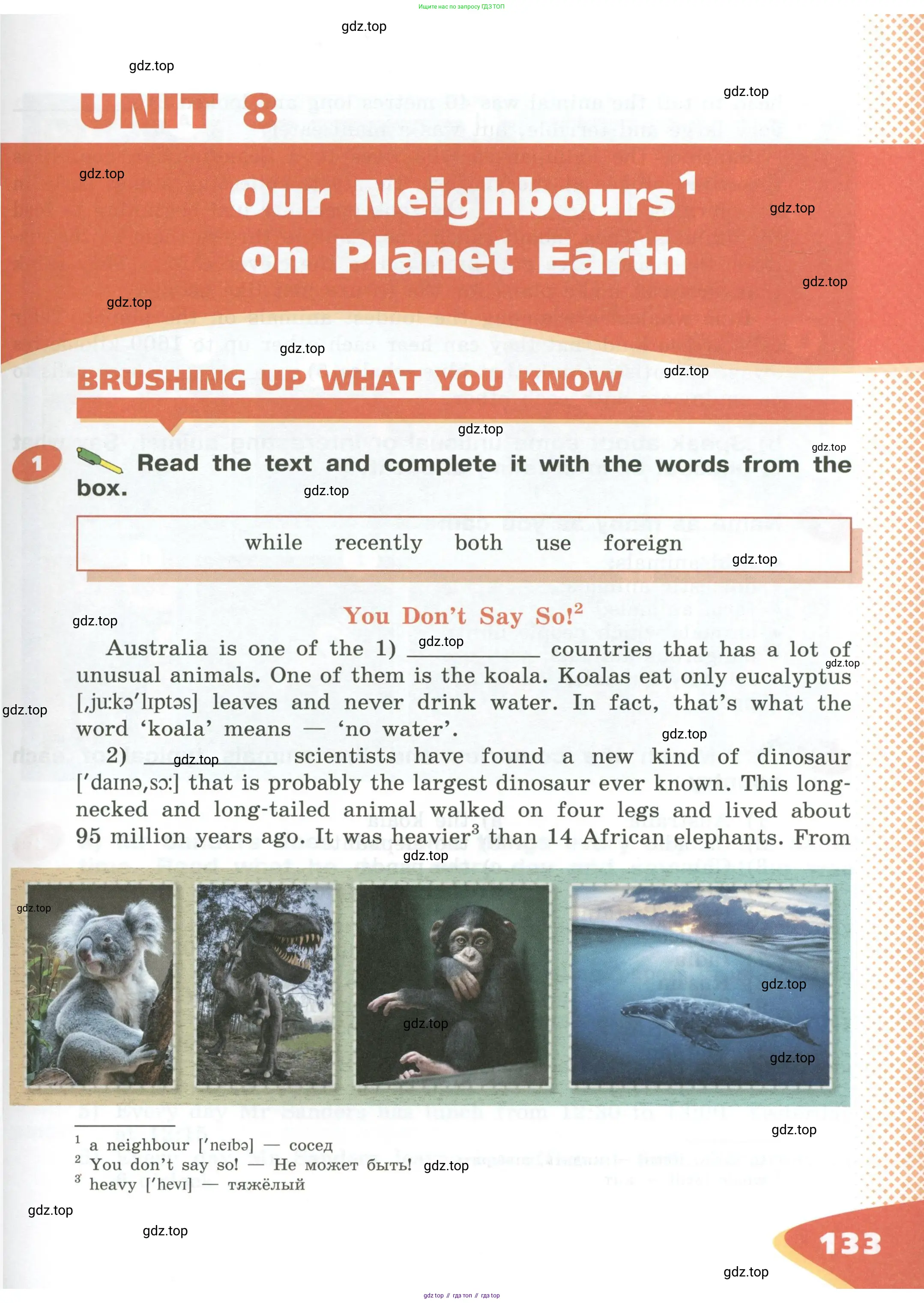 Английский язык (english), 5 класс Учебник (Student's book), авторы: Афанасьева Ольга Васильевна (Afanasyeva Olga), Михеева Ирина Владимировна (Mikheeva Irina), Баранова Ксения Михайловна (Baranova Ksenia), издательство Просвещение, Москва, 2023, зелёного цвета, Часть ( Part) 1, страница 133
