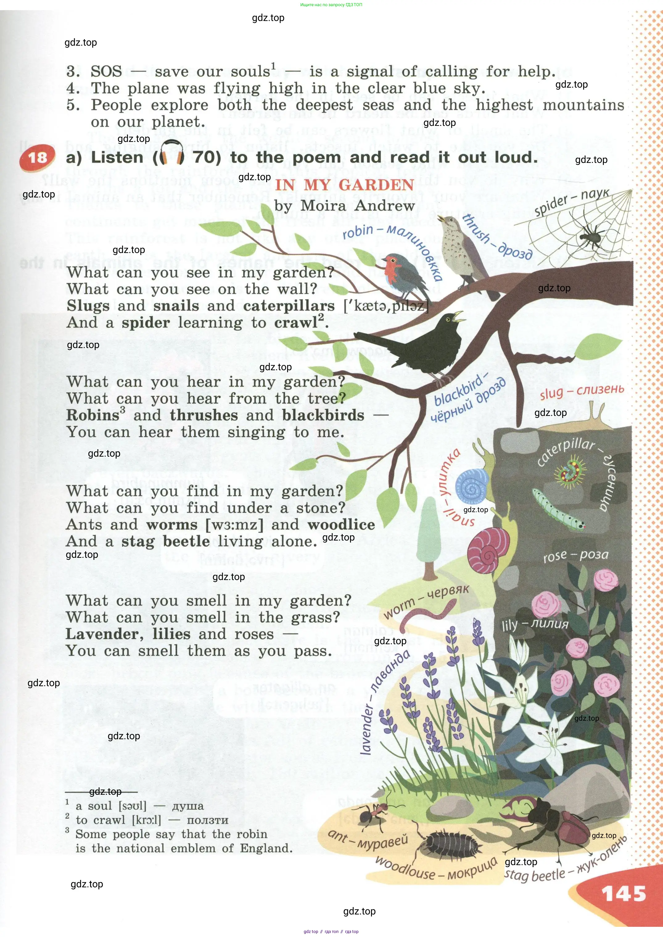 Английский язык (english), 5 класс Учебник (Student's book), авторы: Афанасьева Ольга Васильевна (Afanasyeva Olga), Михеева Ирина Владимировна (Mikheeva Irina), Баранова Ксения Михайловна (Baranova Ksenia), издательство Просвещение, Москва, 2023, зелёного цвета, Часть ( Part) 1, страница 145