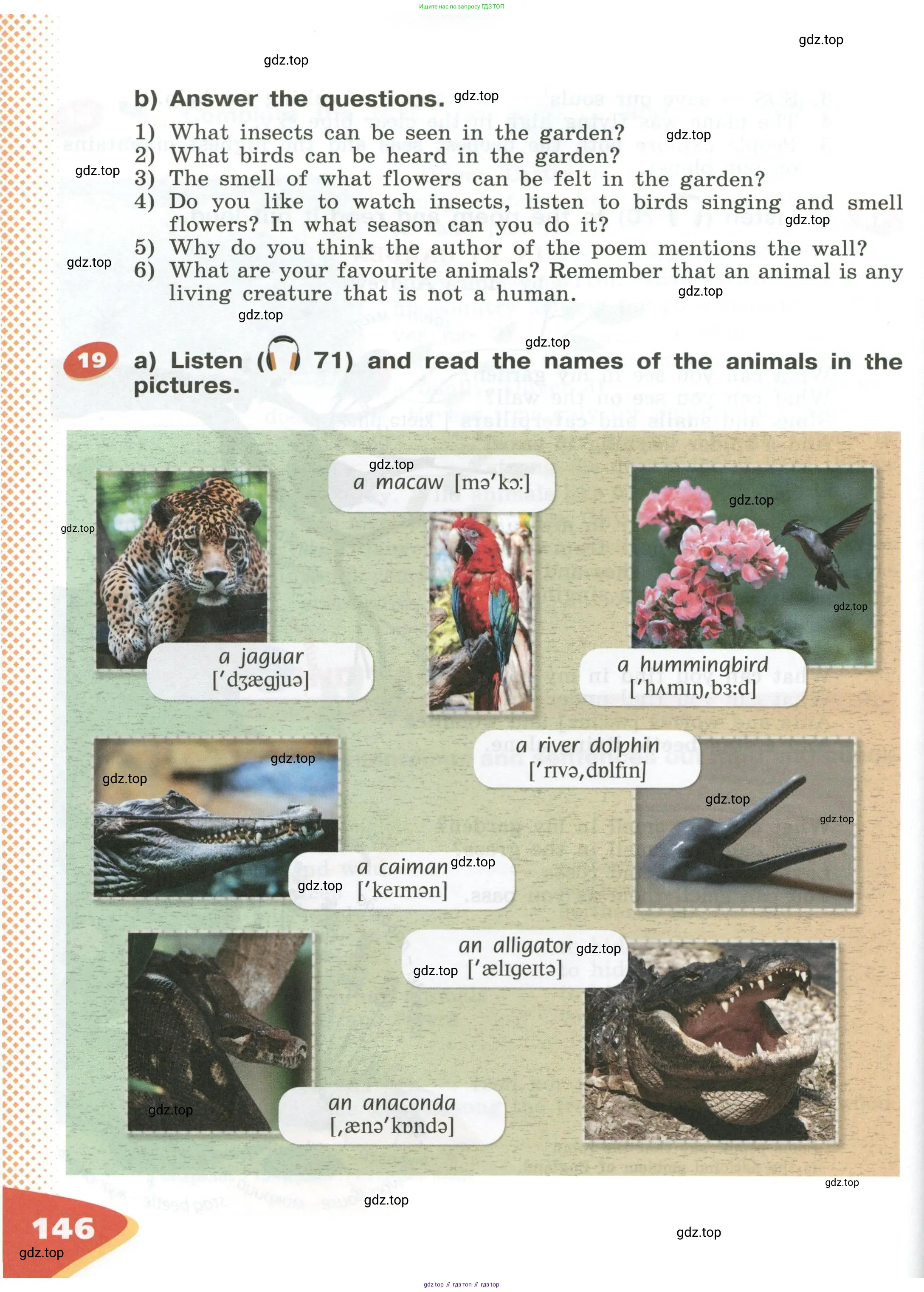 Английский язык (english), 5 класс Учебник (Student's book), авторы: Афанасьева Ольга Васильевна (Afanasyeva Olga), Михеева Ирина Владимировна (Mikheeva Irina), Баранова Ксения Михайловна (Baranova Ksenia), издательство Просвещение, Москва, 2023, зелёного цвета, Часть ( Part) 1, страница 146