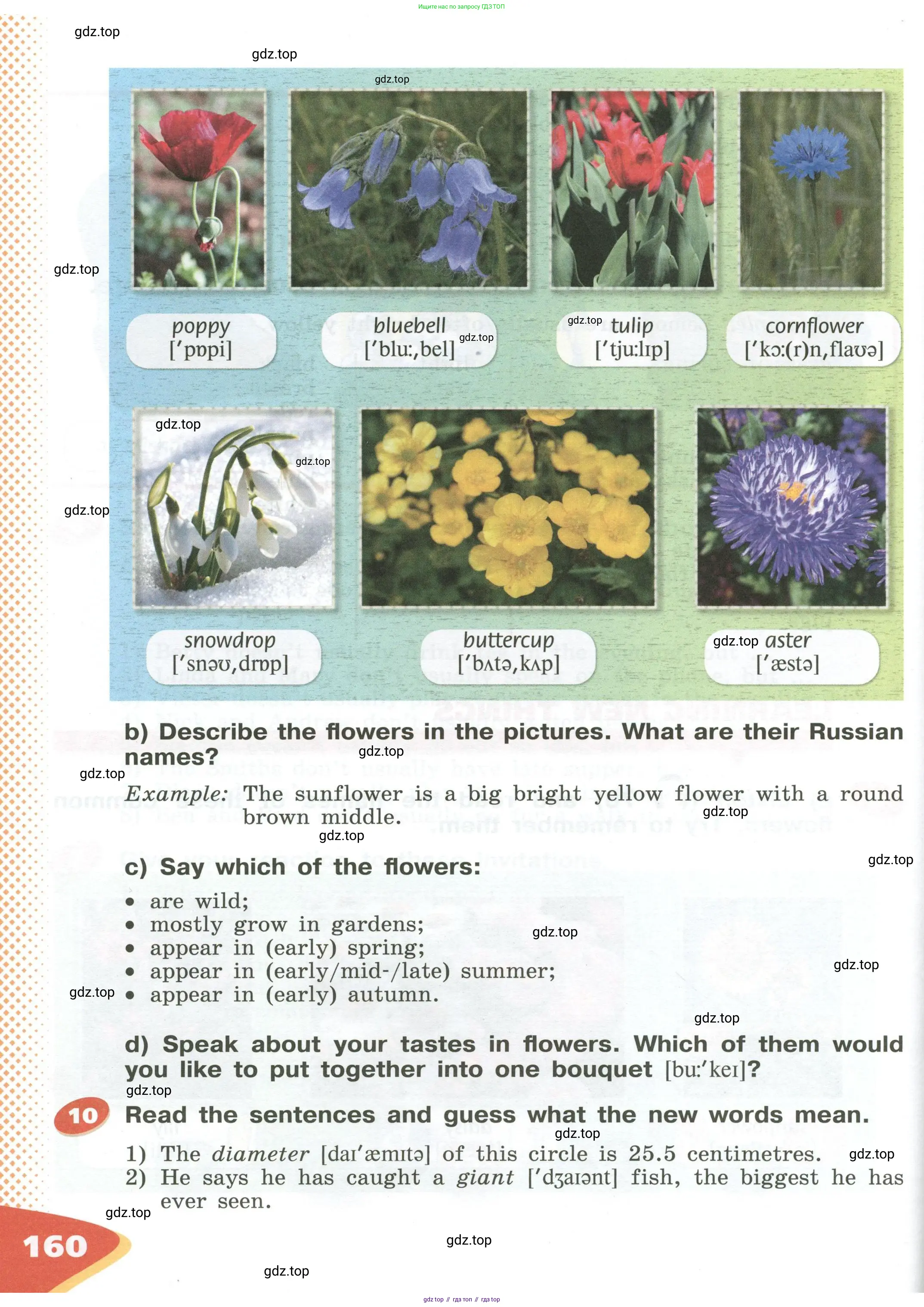 Английский язык (english), 5 класс Учебник (Student's book), авторы: Афанасьева Ольга Васильевна (Afanasyeva Olga), Михеева Ирина Владимировна (Mikheeva Irina), Баранова Ксения Михайловна (Baranova Ksenia), издательство Просвещение, Москва, 2023, зелёного цвета, Часть ( Part) 1, страница 160