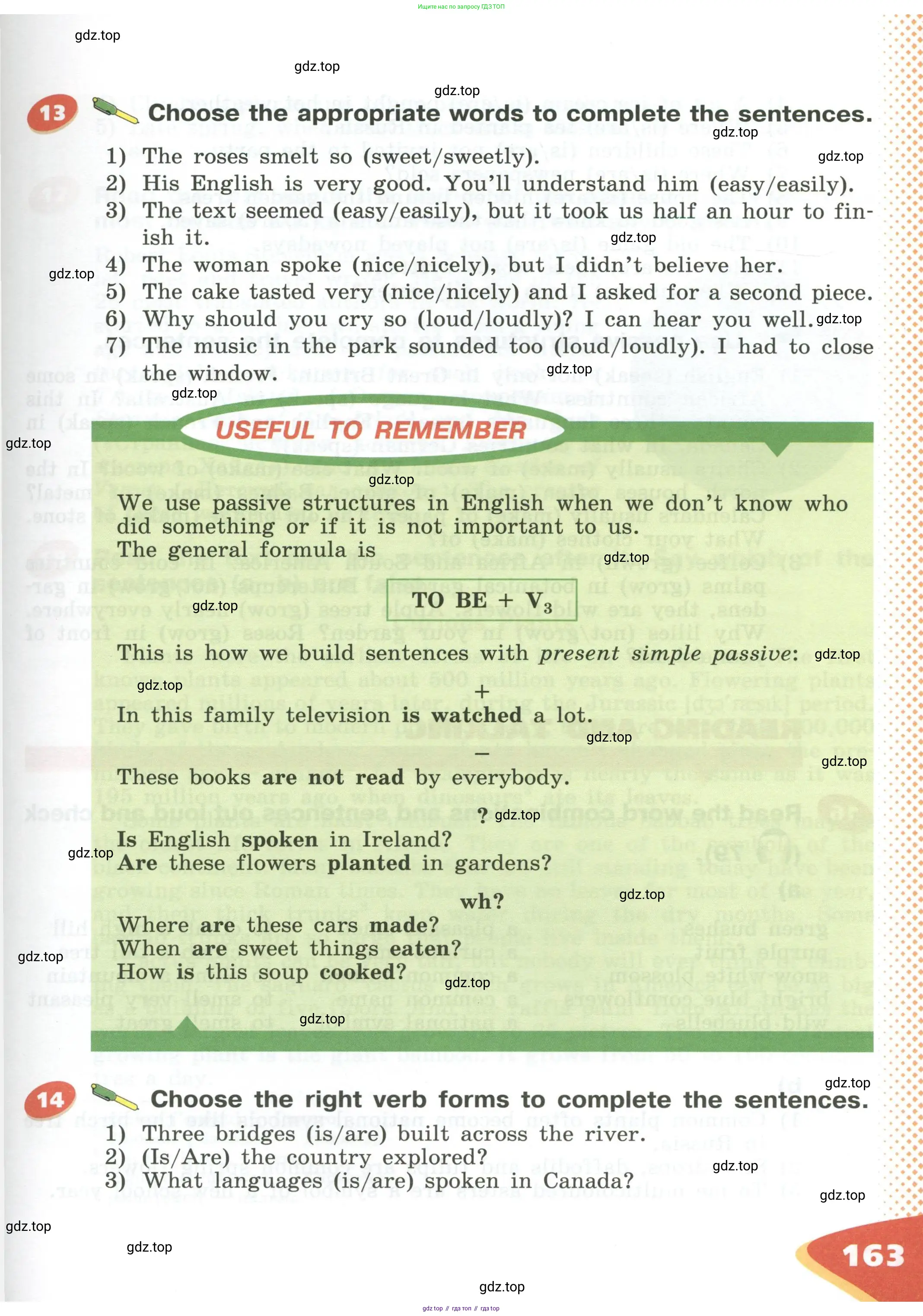 Английский язык (english), 5 класс Учебник (Student's book), авторы: Афанасьева Ольга Васильевна (Afanasyeva Olga), Михеева Ирина Владимировна (Mikheeva Irina), Баранова Ксения Михайловна (Baranova Ksenia), издательство Просвещение, Москва, 2023, зелёного цвета, Часть ( Part) 1, страница 163