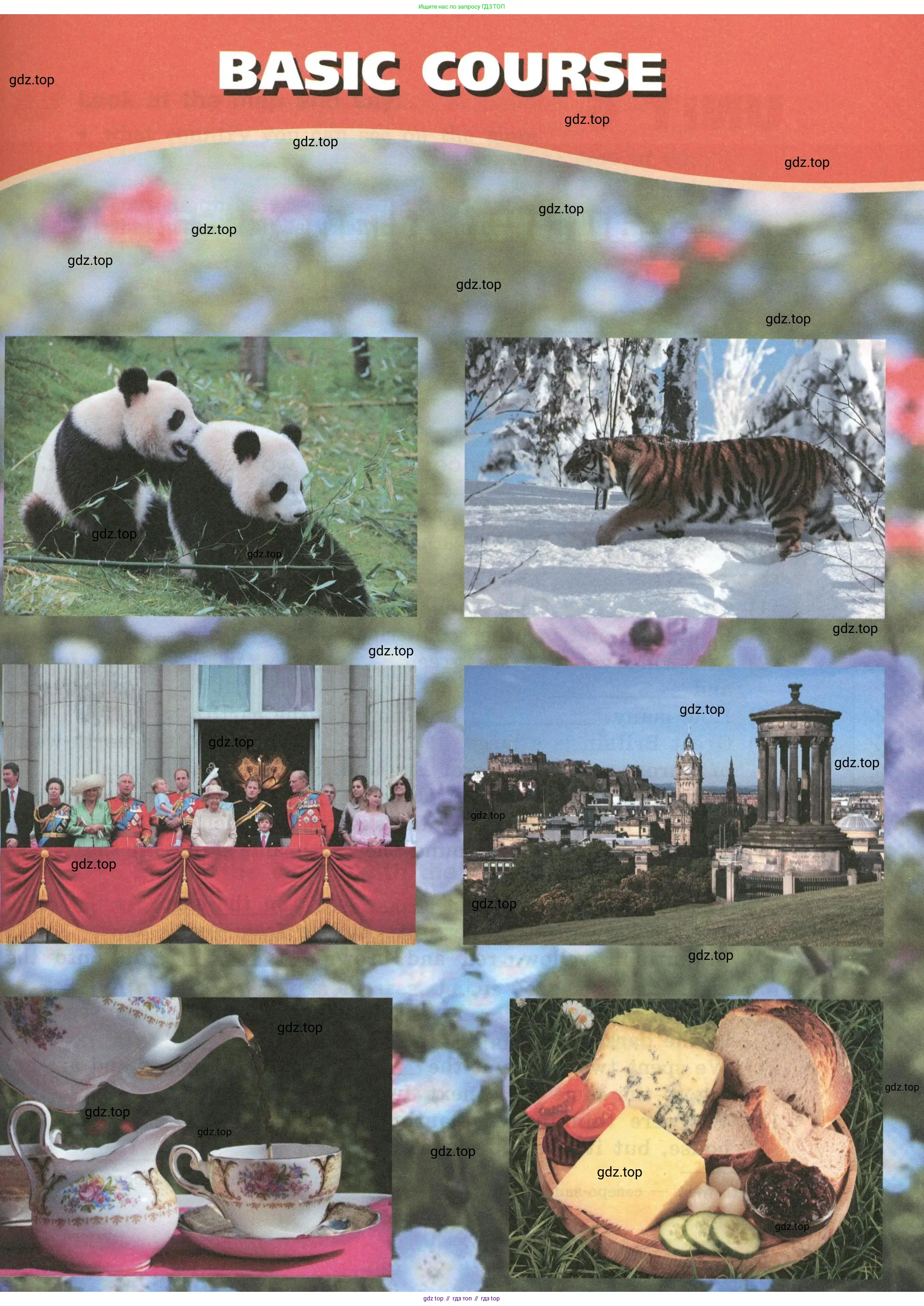 Английский язык (english), 5 класс Учебник (Student's book), авторы: Афанасьева Ольга Васильевна (Afanasyeva Olga), Михеева Ирина Владимировна (Mikheeva Irina), Баранова Ксения Михайловна (Baranova Ksenia), издательство Просвещение, Москва, 2023, зелёного цвета, Часть ( Part) 2, страница 89