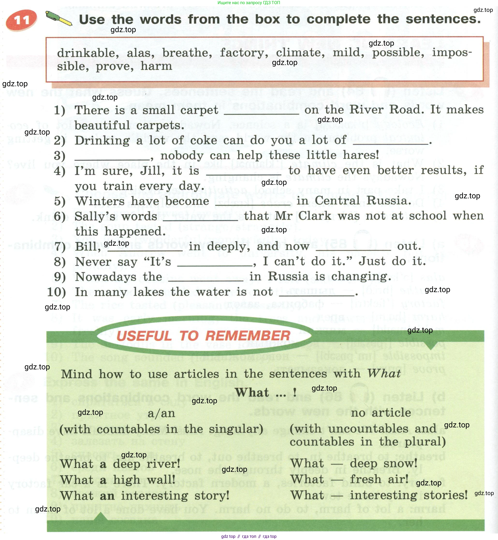 Английский язык (english), 5 класс Учебник (Student's book), авторы: Афанасьева Ольга Васильевна (Afanasyeva Olga), Михеева Ирина Владимировна (Mikheeva Irina), Баранова Ксения Михайловна (Baranova Ksenia), издательство Просвещение, Москва, 2023, зелёного цвета, Часть ( Part) 1, страница 180, номер 11, Условие
