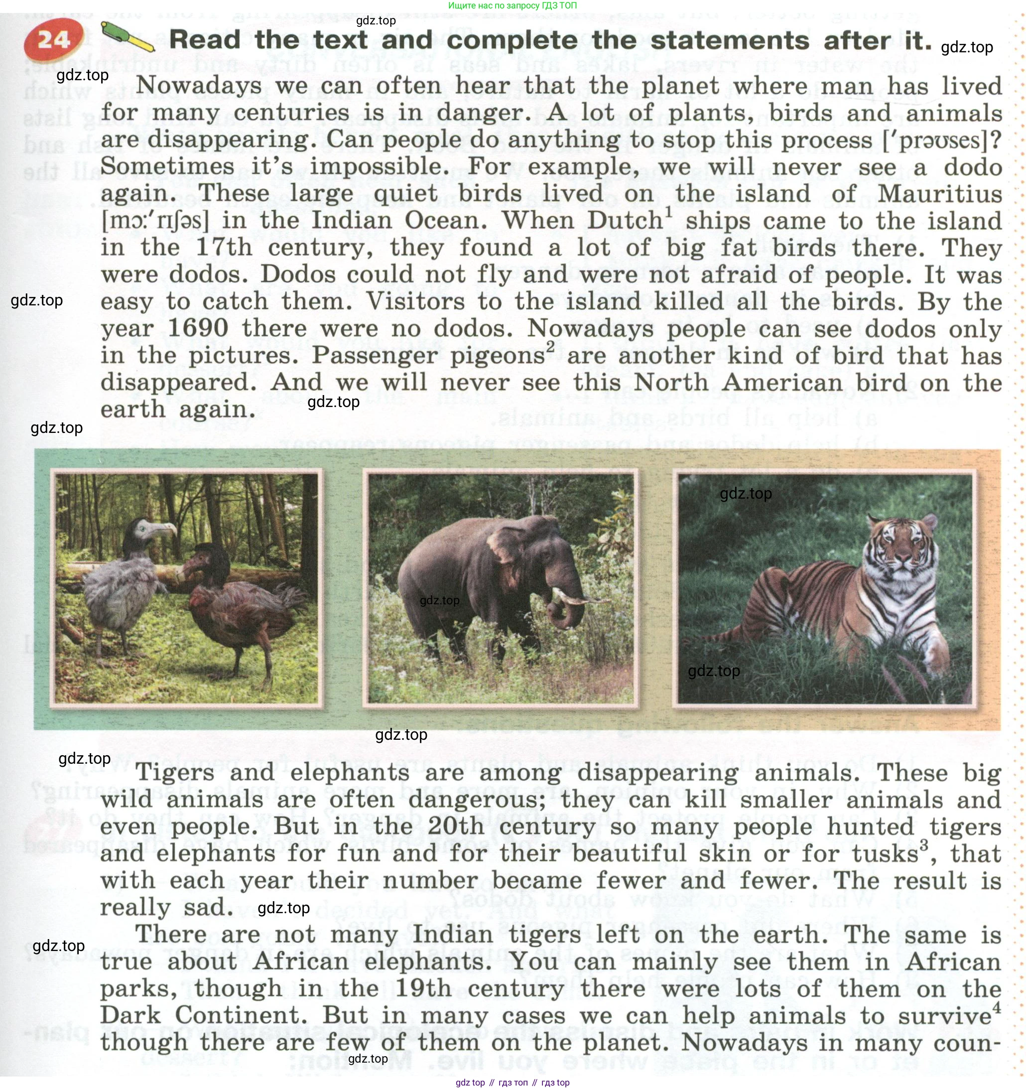 Английский язык (english), 5 класс Учебник (Student's book), авторы: Афанасьева Ольга Васильевна (Afanasyeva Olga), Михеева Ирина Владимировна (Mikheeva Irina), Баранова Ксения Михайловна (Baranova Ksenia), издательство Просвещение, Москва, 2023, зелёного цвета, Часть ( Part) 1, страница 187, номер 24, Условие