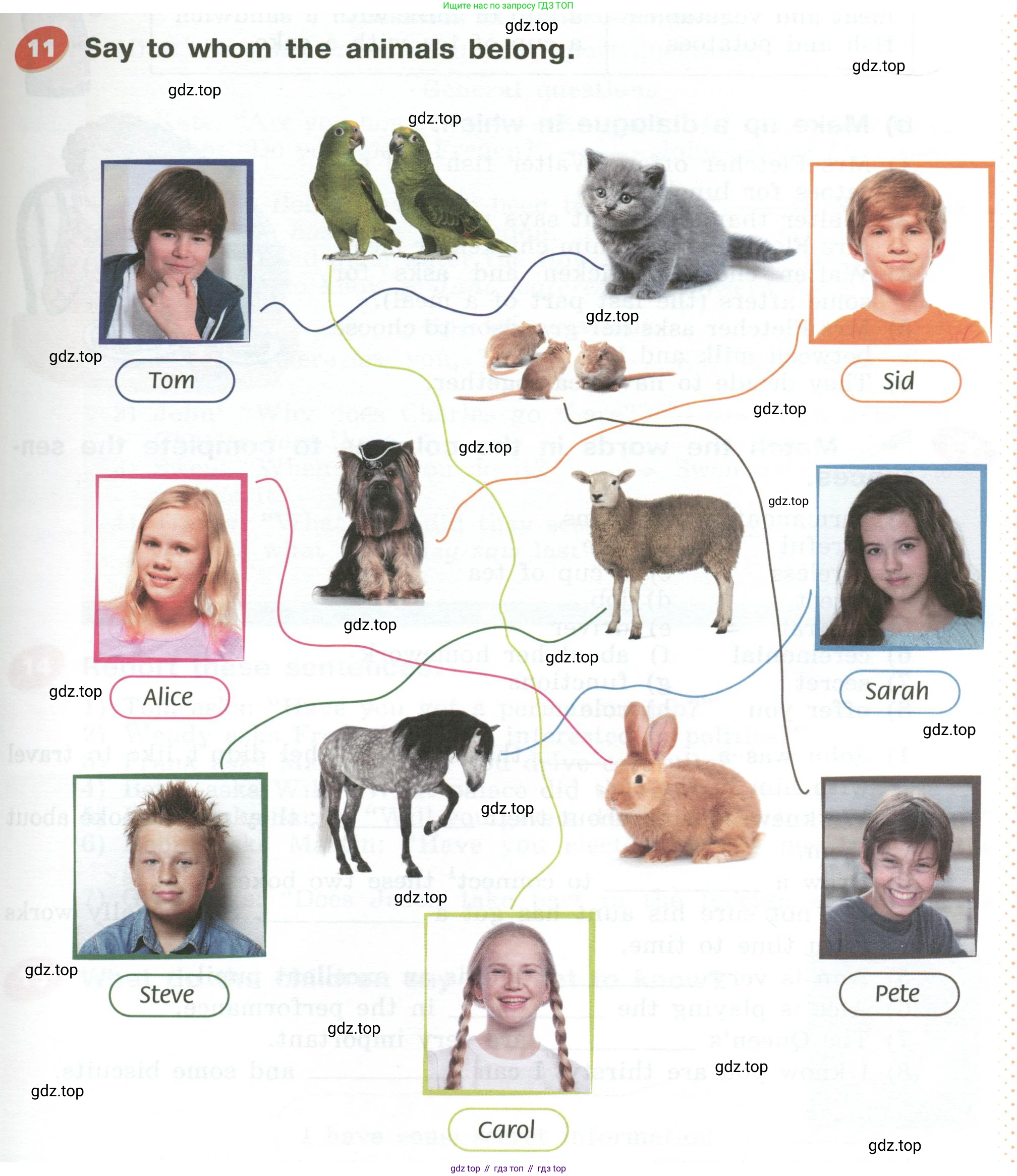 Английский язык (english), 5 класс Учебник (Student's book), авторы: Афанасьева Ольга Васильевна (Afanasyeva Olga), Михеева Ирина Владимировна (Mikheeva Irina), Баранова Ксения Михайловна (Baranova Ksenia), издательство Просвещение, Москва, 2023, зелёного цвета, Часть ( Part) 2, страница 53, номер 11, Условие