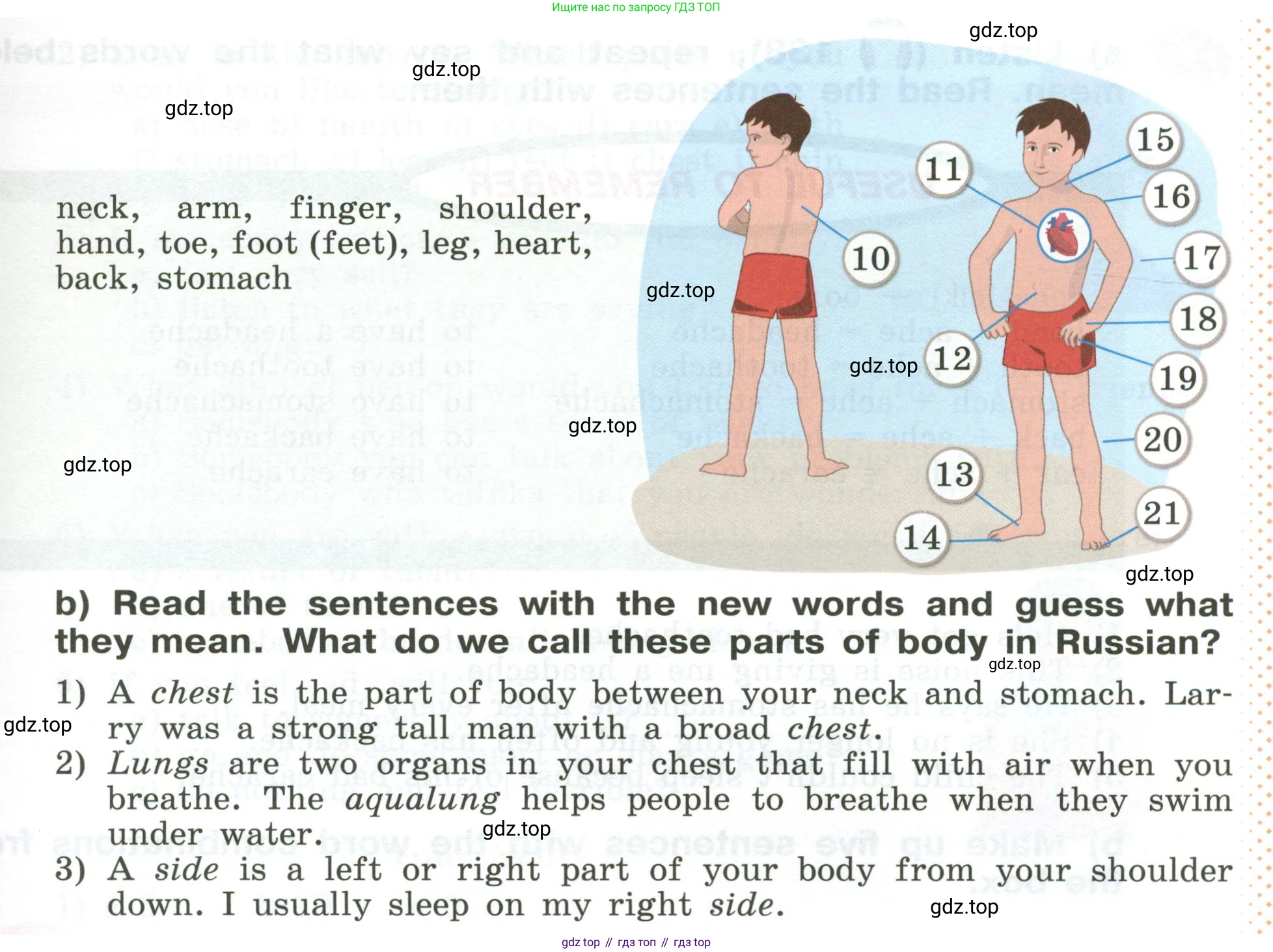 Английский язык (english), 5 класс Учебник (Student's book), авторы: Афанасьева Ольга Васильевна (Afanasyeva Olga), Михеева Ирина Владимировна (Mikheeva Irina), Баранова Ксения Михайловна (Baranova Ksenia), издательство Просвещение, Москва, 2023, зелёного цвета, Часть ( Part) 2, страница 102, номер 5, Условие (продолжение 2)