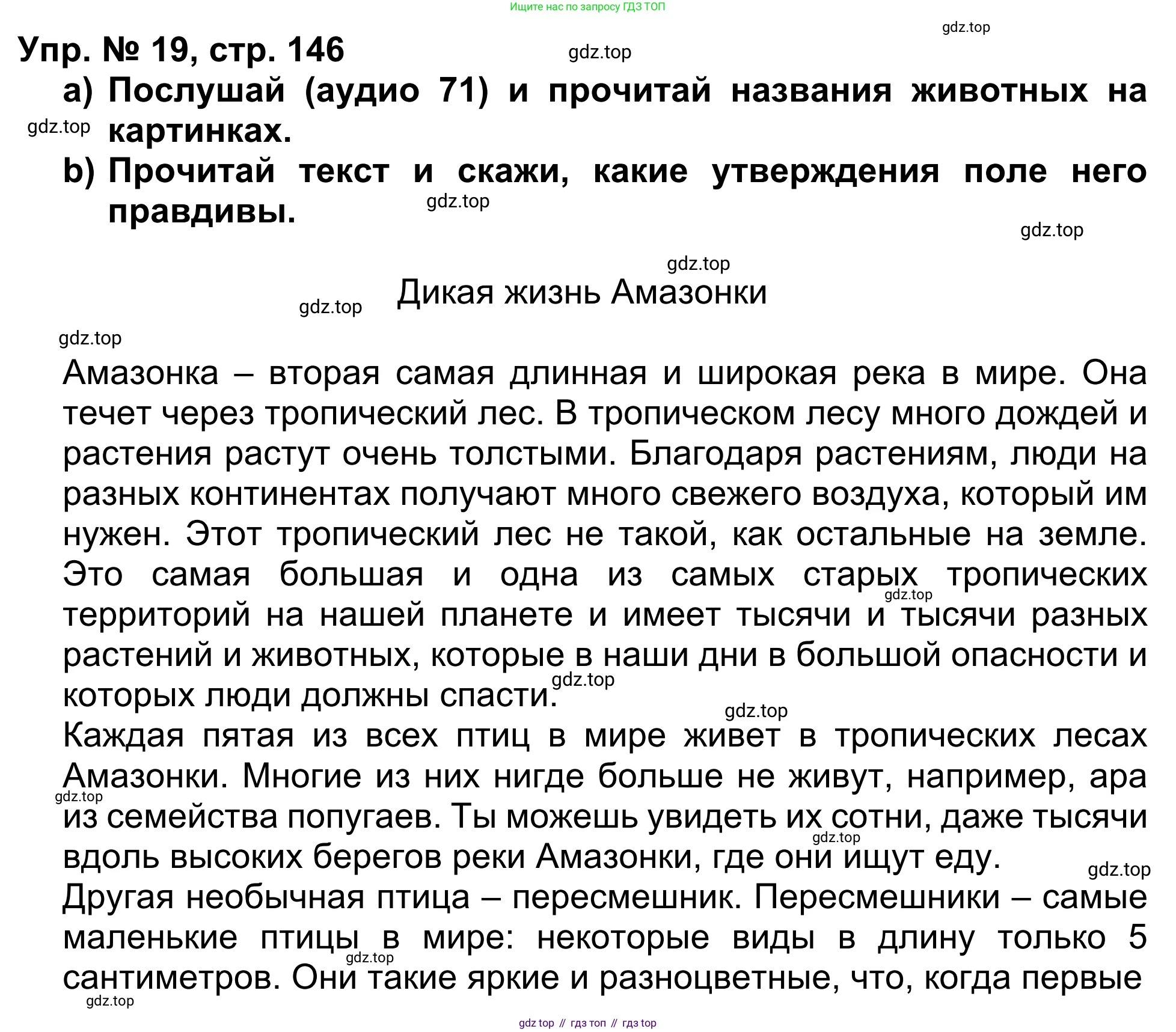 Английский язык (english), 5 класс Учебник (Student's book), авторы: Афанасьева Ольга Васильевна (Afanasyeva Olga), Михеева Ирина Владимировна (Mikheeva Irina), Баранова Ксения Михайловна (Baranova Ksenia), издательство Просвещение, Москва, 2023, зелёного цвета, Часть ( Part) 1, страница 146, номер 19, Решение
