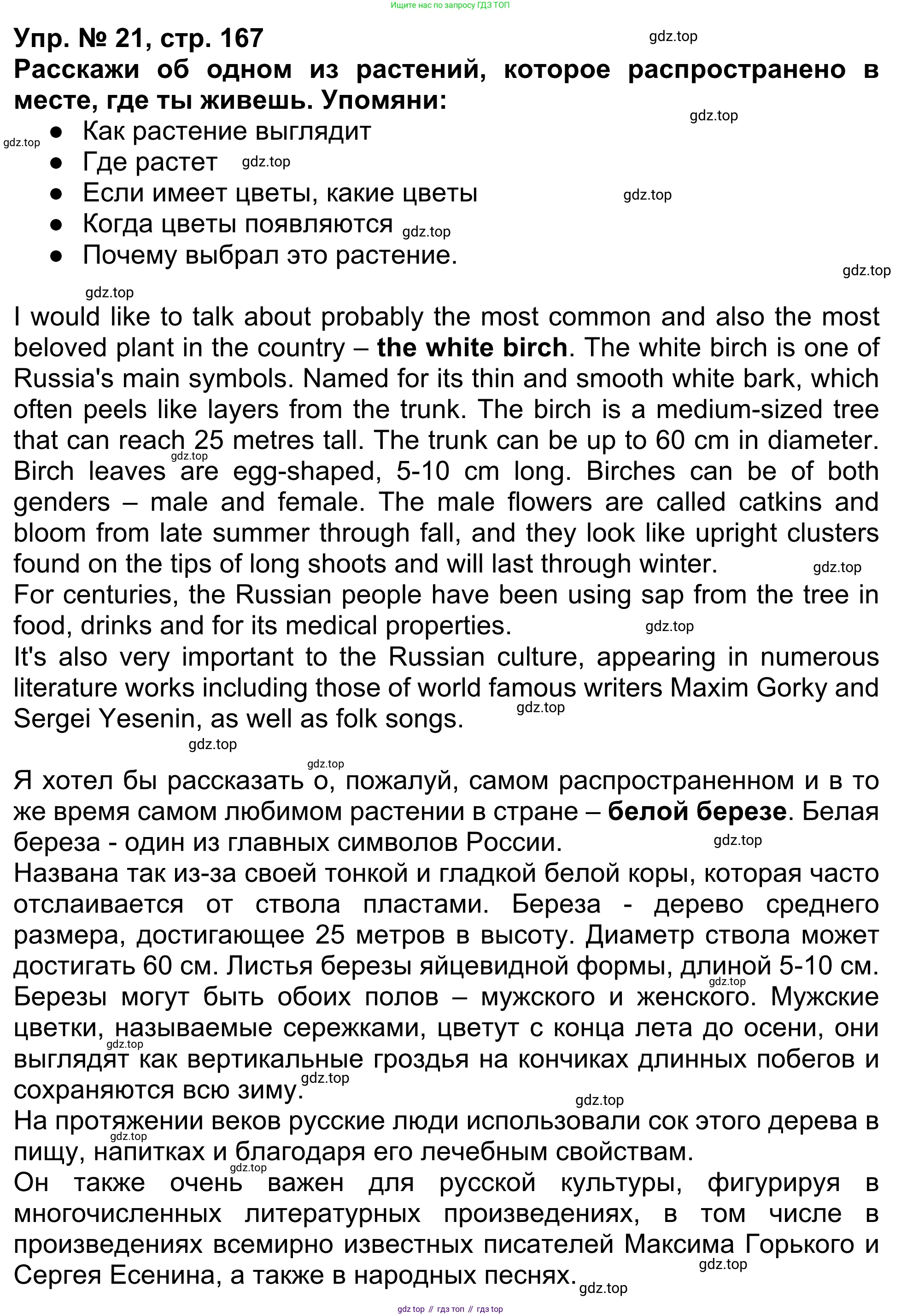 Английский язык (english), 5 класс Учебник (Student's book), авторы: Афанасьева Ольга Васильевна (Afanasyeva Olga), Михеева Ирина Владимировна (Mikheeva Irina), Баранова Ксения Михайловна (Baranova Ksenia), издательство Просвещение, Москва, 2023, зелёного цвета, Часть ( Part) 1, страница 167, номер 21, Решение