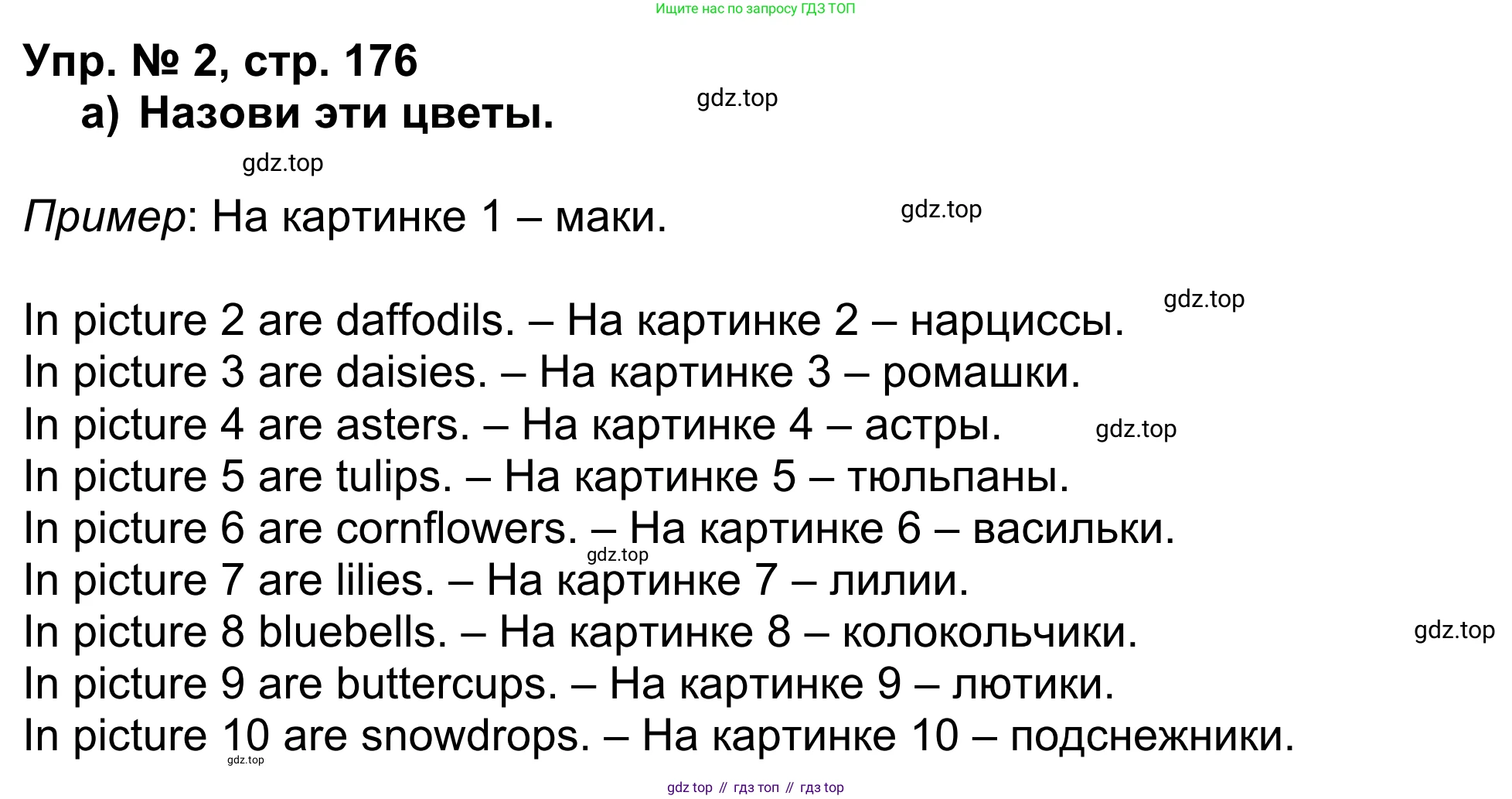 Английский язык (english), 5 класс Учебник (Student's book), авторы: Афанасьева Ольга Васильевна (Afanasyeva Olga), Михеева Ирина Владимировна (Mikheeva Irina), Баранова Ксения Михайловна (Baranova Ksenia), издательство Просвещение, Москва, 2023, зелёного цвета, Часть ( Part) 1, страница 176, номер 2, Решение