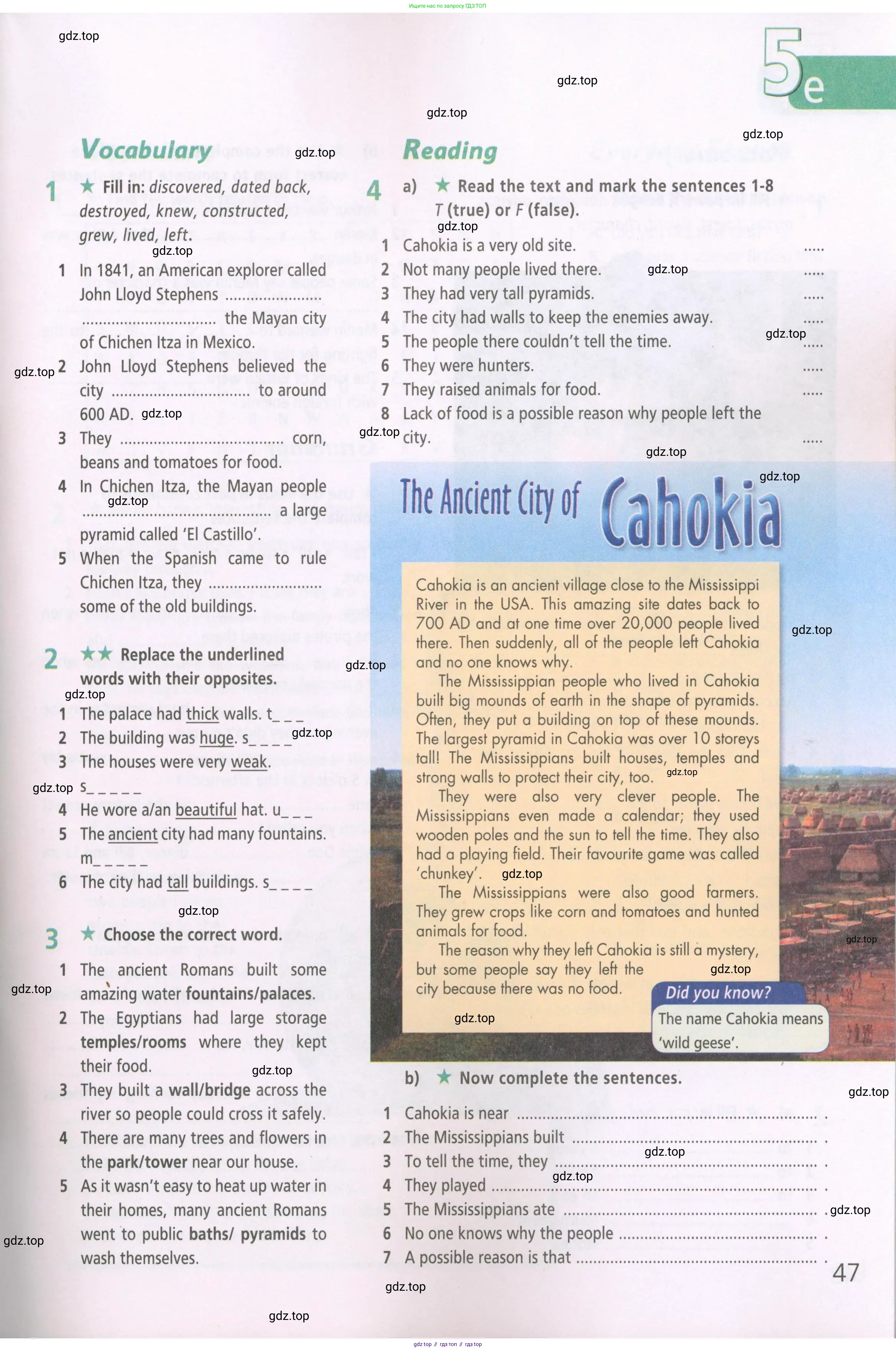 ГДЗ Английский язык (english), 5 класс Рабочая тетрадь (workbook), авторы: Баранова Ксения Михайловна (Baranova Ksenia), Дули Дженни (Dooley Jenny), Копылова Виктория Викторовна (Kopylova Victoria), Мильруд Радислав Петрович (Millrood Radislav), Эванс Вирджиния (Evans Virginia), издательство Просвещение, Москва, 2023, белого цвета, страница 47