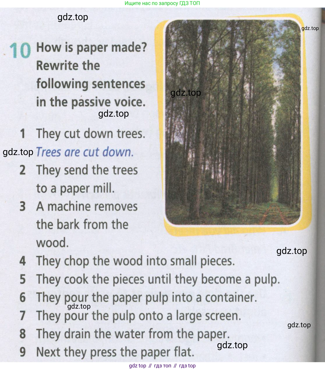 ГДЗ Английский язык (english), 5 класс Рабочая тетрадь (workbook), авторы: Баранова Ксения Михайловна (Baranova Ksenia), Дули Дженни (Dooley Jenny), Копылова Виктория Викторовна (Kopylova Victoria), Мильруд Радислав Петрович (Millrood Radislav), Эванс Вирджиния (Evans Virginia), издательство Просвещение, Москва, 2023, белого цвета, страница 88, номер 10, Условие