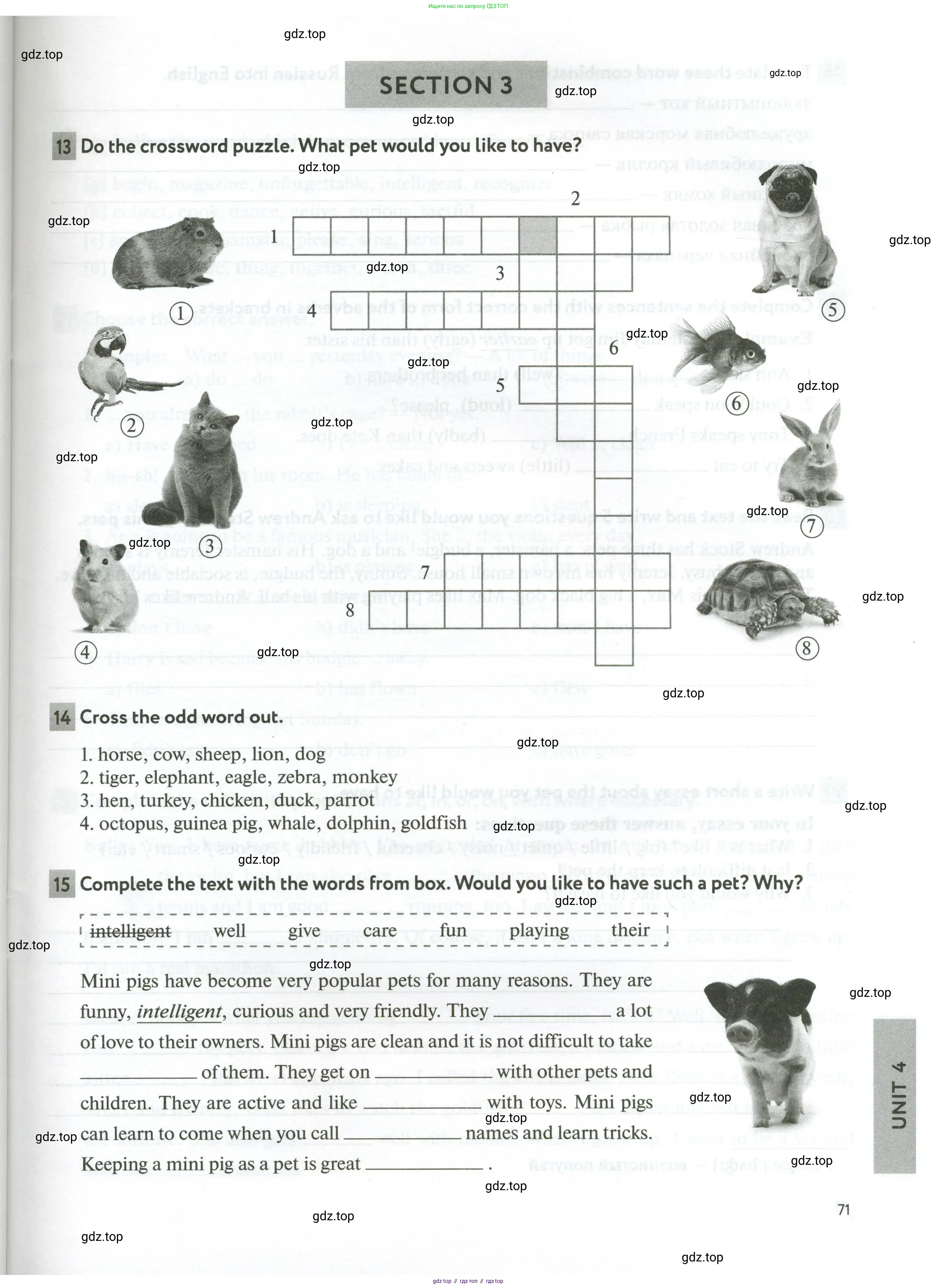 Английский язык (english), 5 класс рабочая тетрадь с контрольными работами (workbook + tests), авторы: Биболетова Мерем Забатовна, Денисенко Ольга Анатольевна, Трубанева Наталия Николаевна, издательство Просвещение, Москва, 2023, страница 71