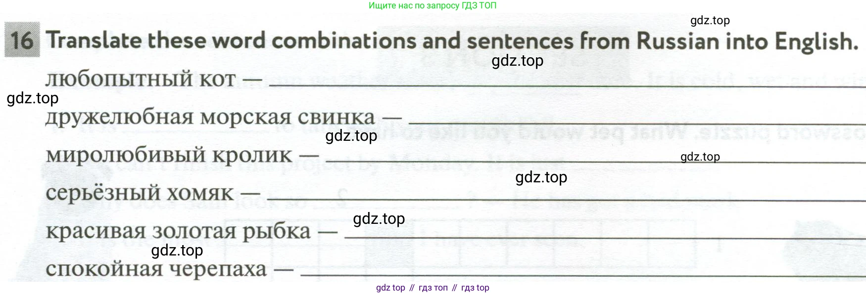 Английский язык (english), 5 класс рабочая тетрадь с контрольными работами (workbook + tests), авторы: Биболетова Мерем Забатовна, Денисенко Ольга Анатольевна, Трубанева Наталия Николаевна, издательство Просвещение, Москва, 2023, страница 72, номер 16, Условие