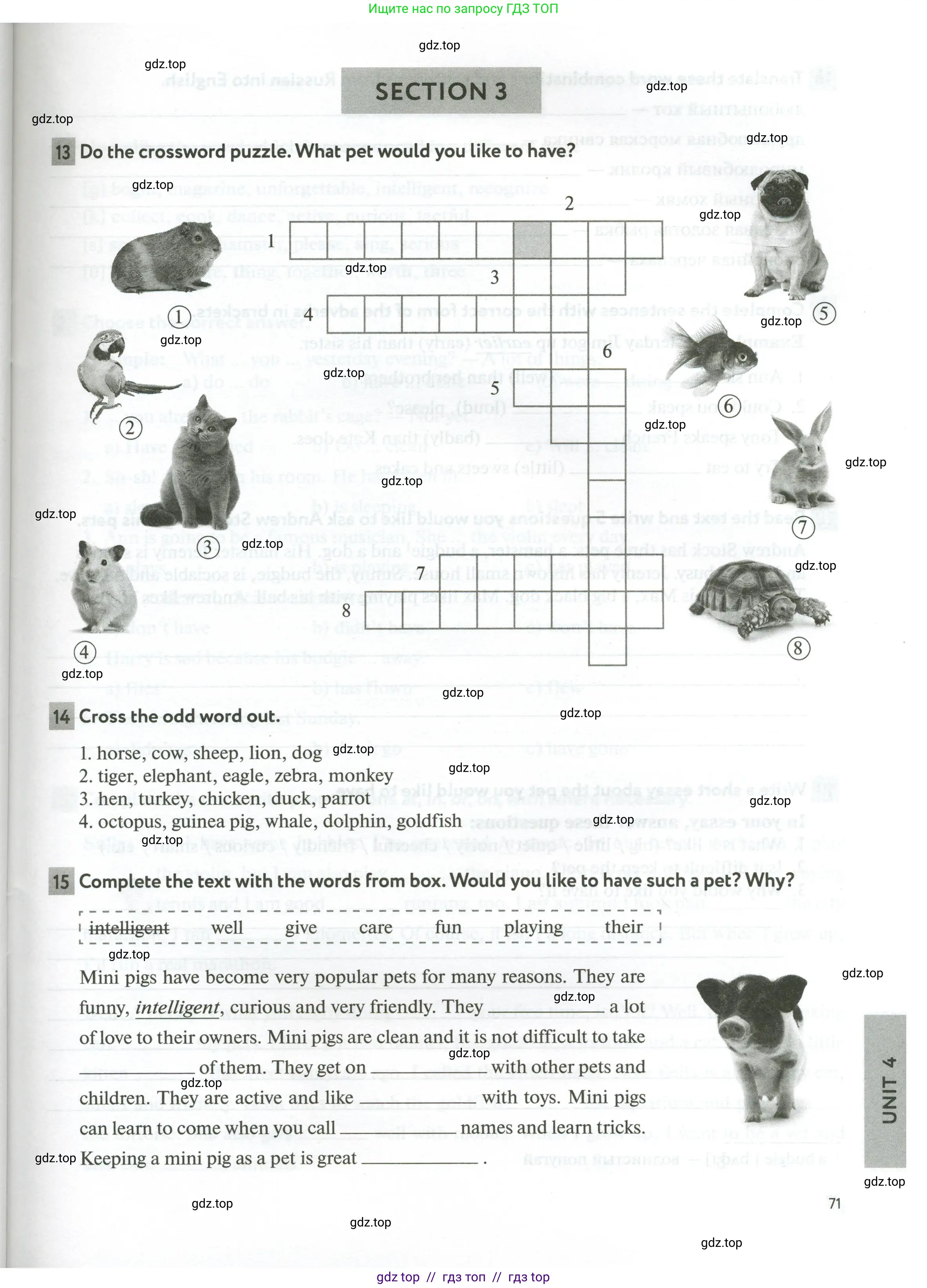 Английский язык (english), 5 класс рабочая тетрадь с контрольными работами (workbook + tests), авторы: Биболетова Мерем Забатовна, Денисенко Ольга Анатольевна, Трубанева Наталия Николаевна, издательство Просвещение, Москва, 2023, страница 71