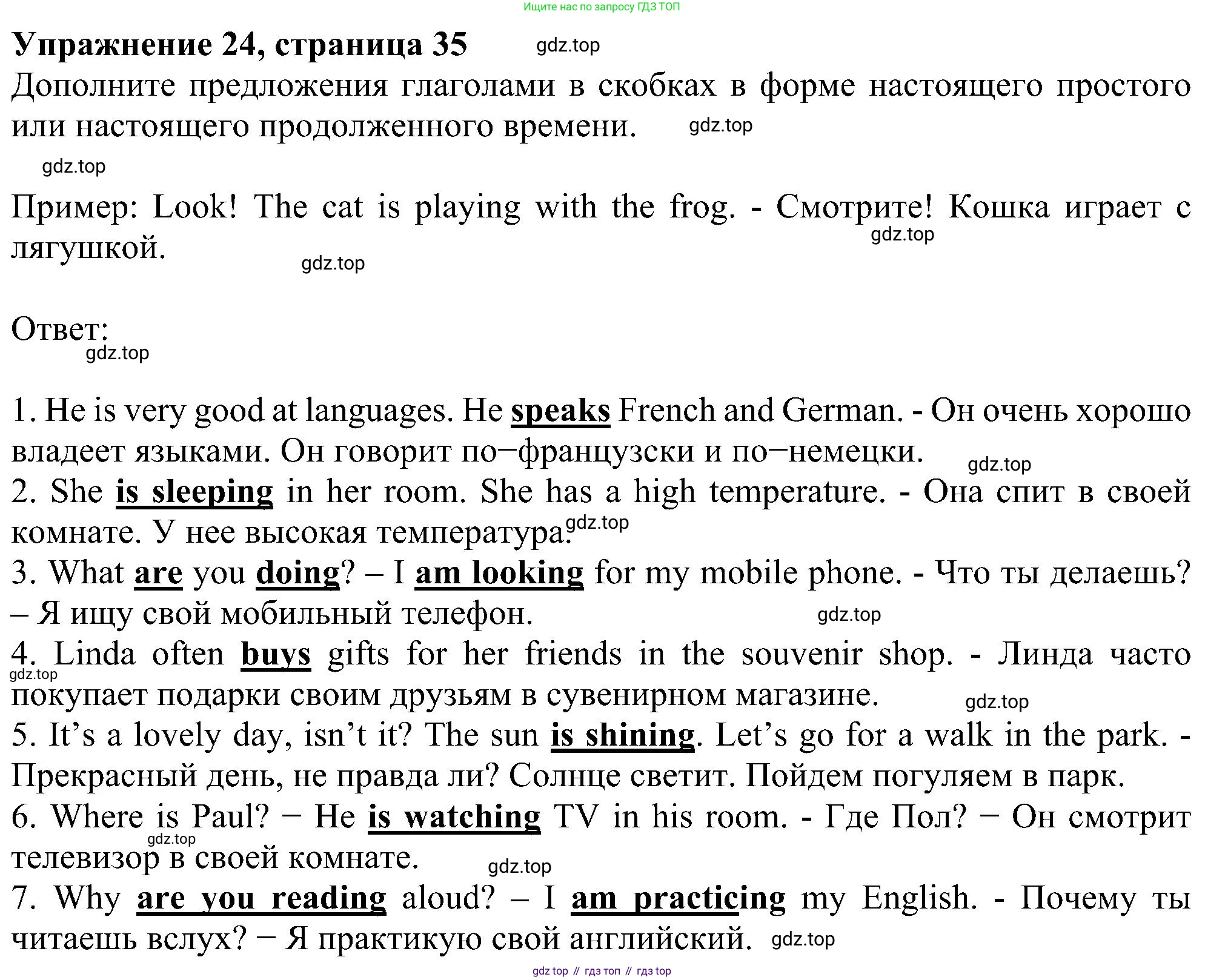 Английский язык (english), 5 класс рабочая тетрадь с контрольными работами (workbook + tests), авторы: Биболетова Мерем Забатовна, Денисенко Ольга Анатольевна, Трубанева Наталия Николаевна, издательство Просвещение, Москва, 2023, страница 35, номер 24, Решение