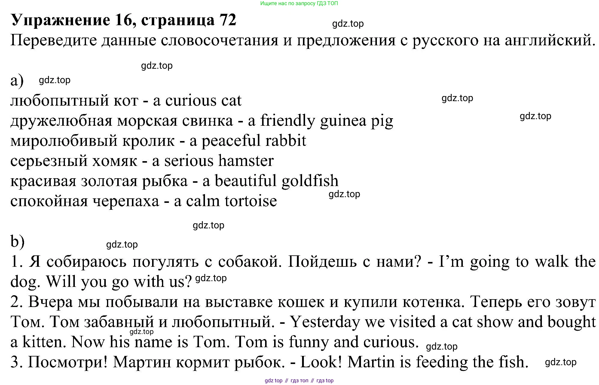 Английский язык (english), 5 класс рабочая тетрадь с контрольными работами (workbook + tests), авторы: Биболетова Мерем Забатовна, Денисенко Ольга Анатольевна, Трубанева Наталия Николаевна, издательство Просвещение, Москва, 2023, страница 72, номер 16, Решение