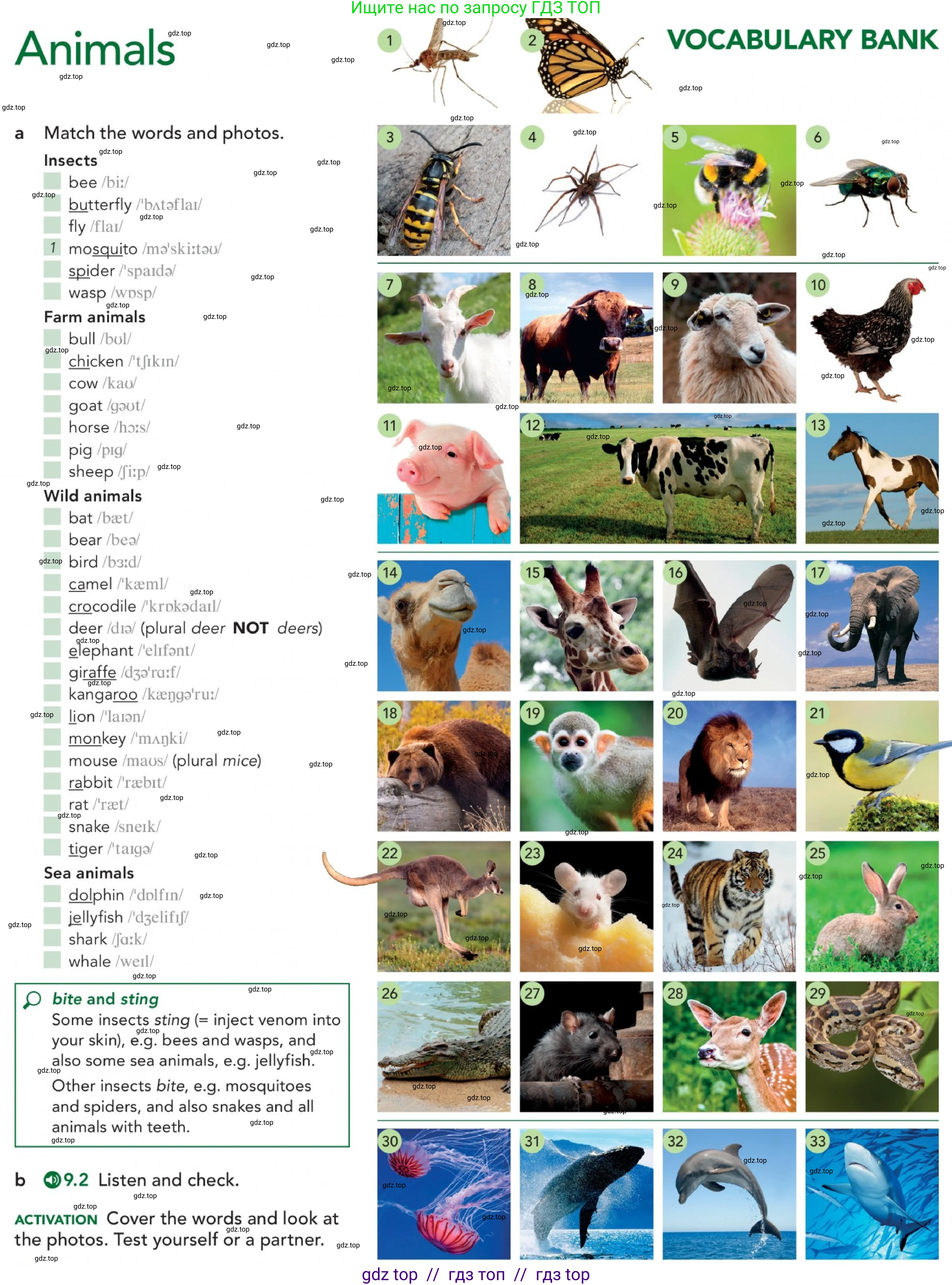 Английский язык (english), 5-11 класс Учебник (Student's book), авторы: Latham-Koenig Christina, Oxenden Clive, Lambert Jerry, издательство Oxford University Press, Москва, белого цвета, страница 70, номер 1, Условие (продолжение 2)