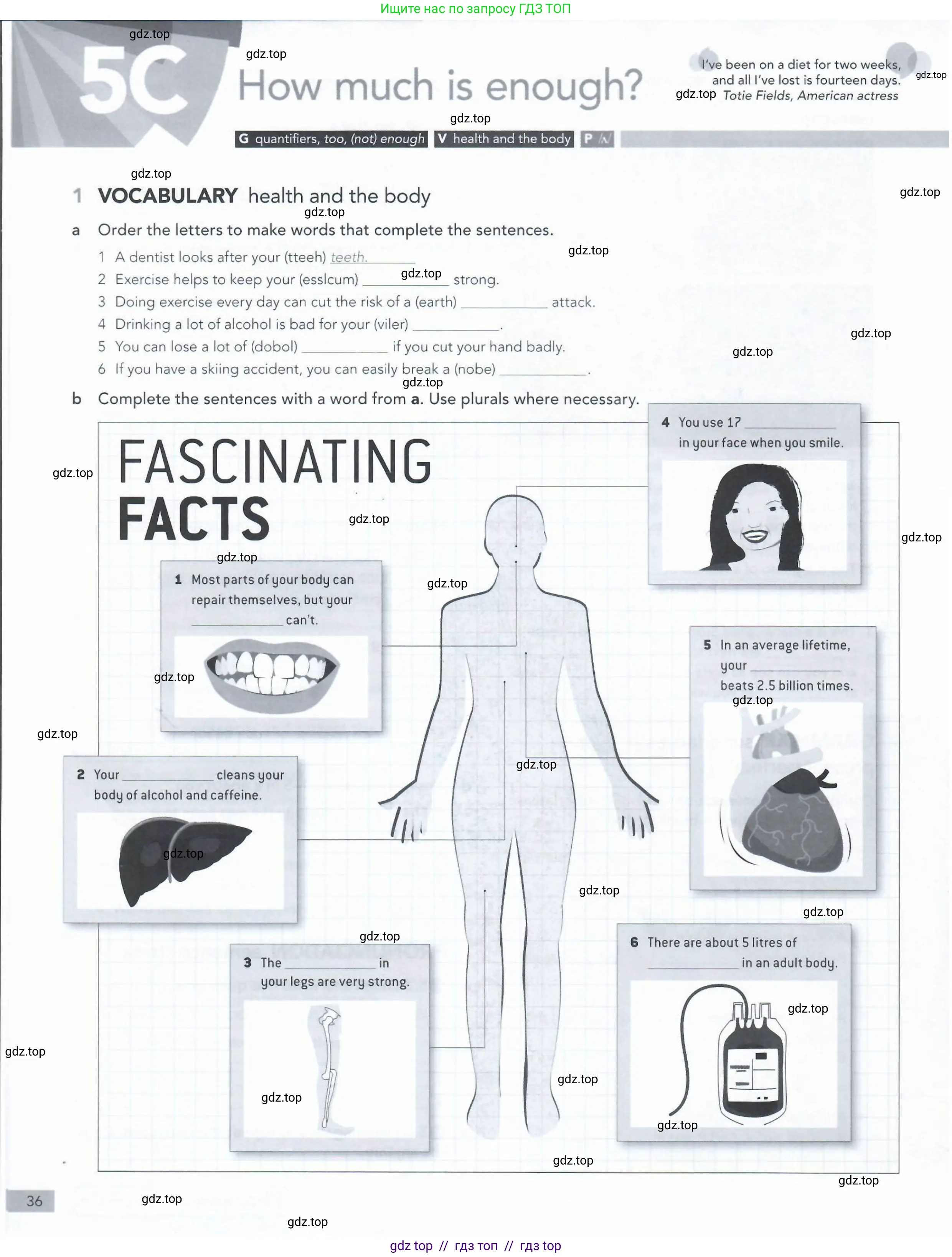 Английский язык (english), 5-11 класс Рабочая тетрадь (workbook), авторы: Latham-Koenig Christina, Oxenden Clive, Lambert Jerry, Seligson Paul, Duckworth Michael, издательство Oxford University Press, Москва, 2019, страница 36