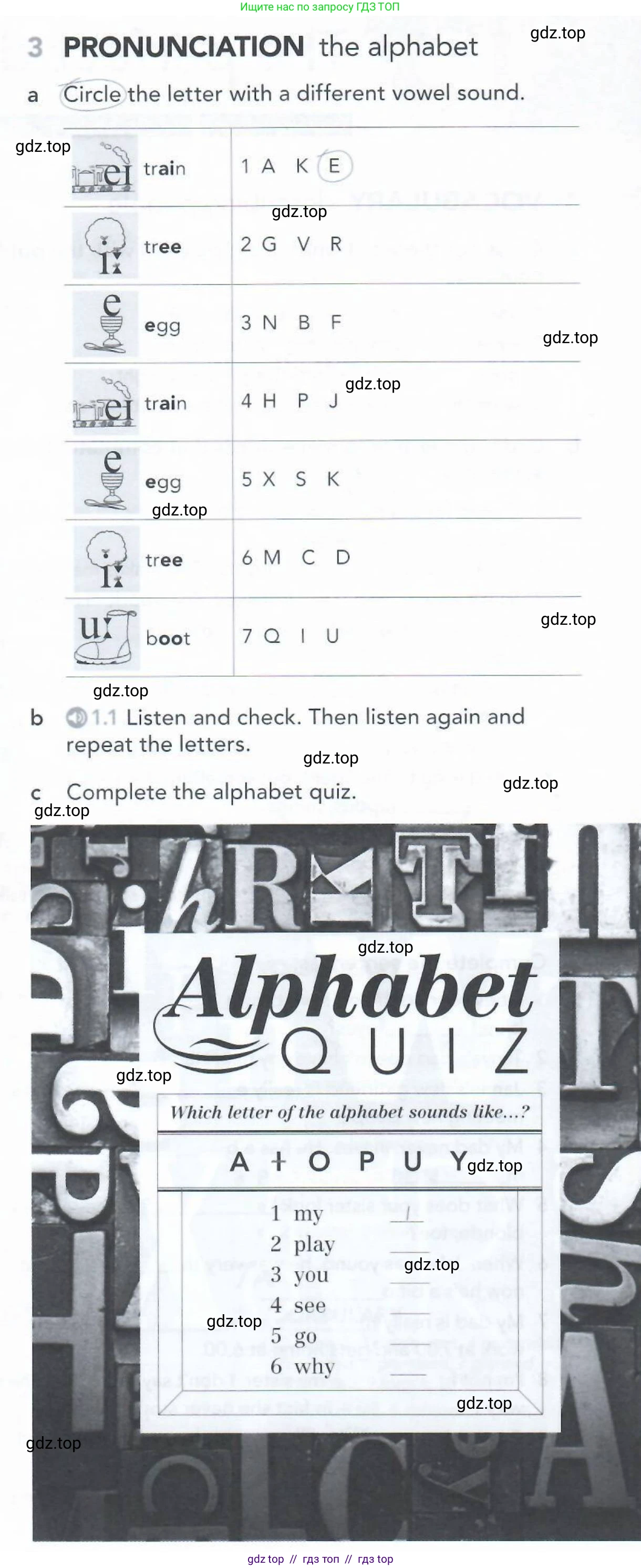 Английский язык (english), 5-11 класс Рабочая тетрадь (workbook), авторы: Latham-Koenig Christina, Oxenden Clive, Lambert Jerry, Seligson Paul, Duckworth Michael, издательство Oxford University Press, Москва, 2019, страница 5, номер 3, Условие