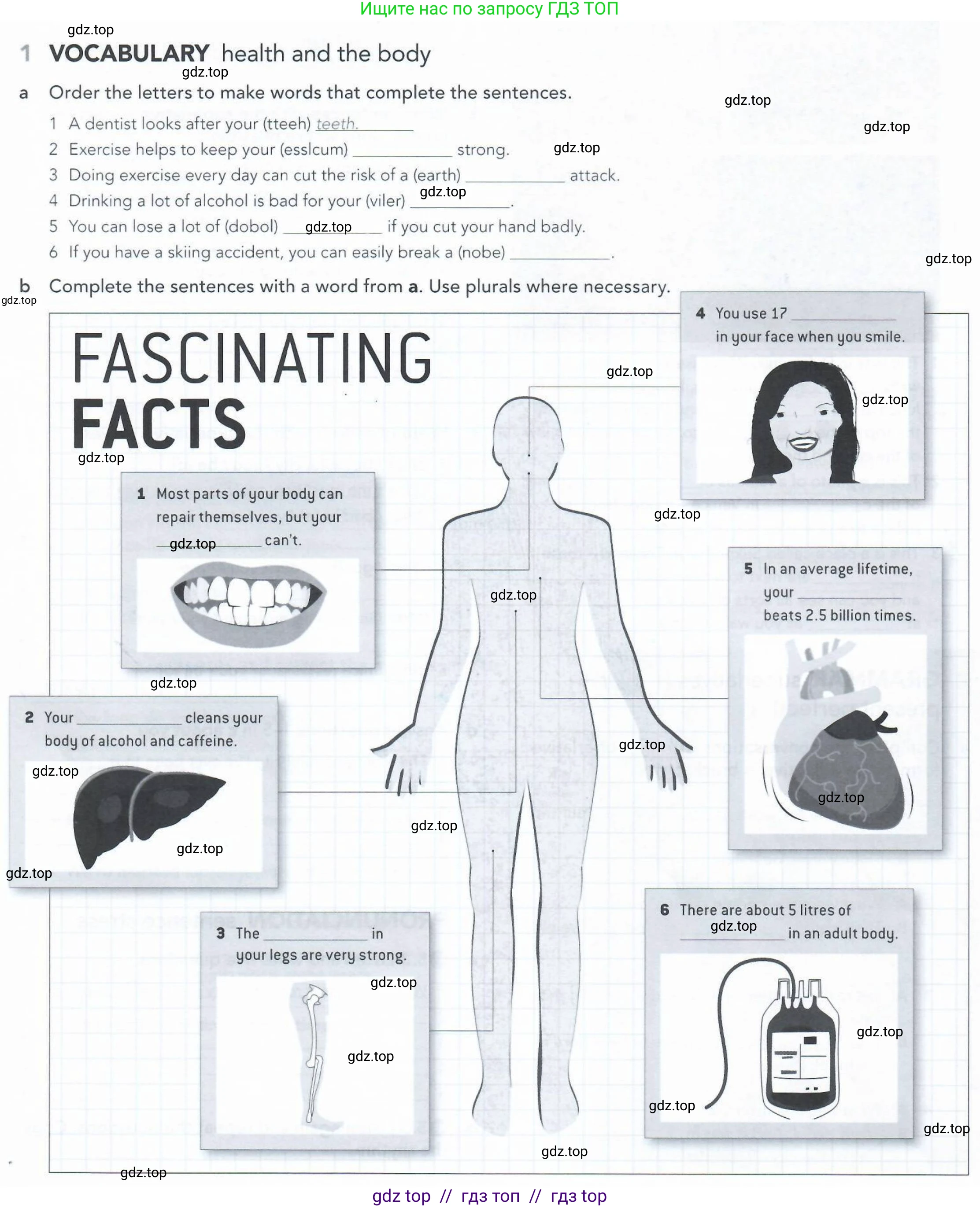 Английский язык (english), 5-11 класс Рабочая тетрадь (workbook), авторы: Latham-Koenig Christina, Oxenden Clive, Lambert Jerry, Seligson Paul, Duckworth Michael, издательство Oxford University Press, Москва, 2019, страница 36, номер 1, Условие