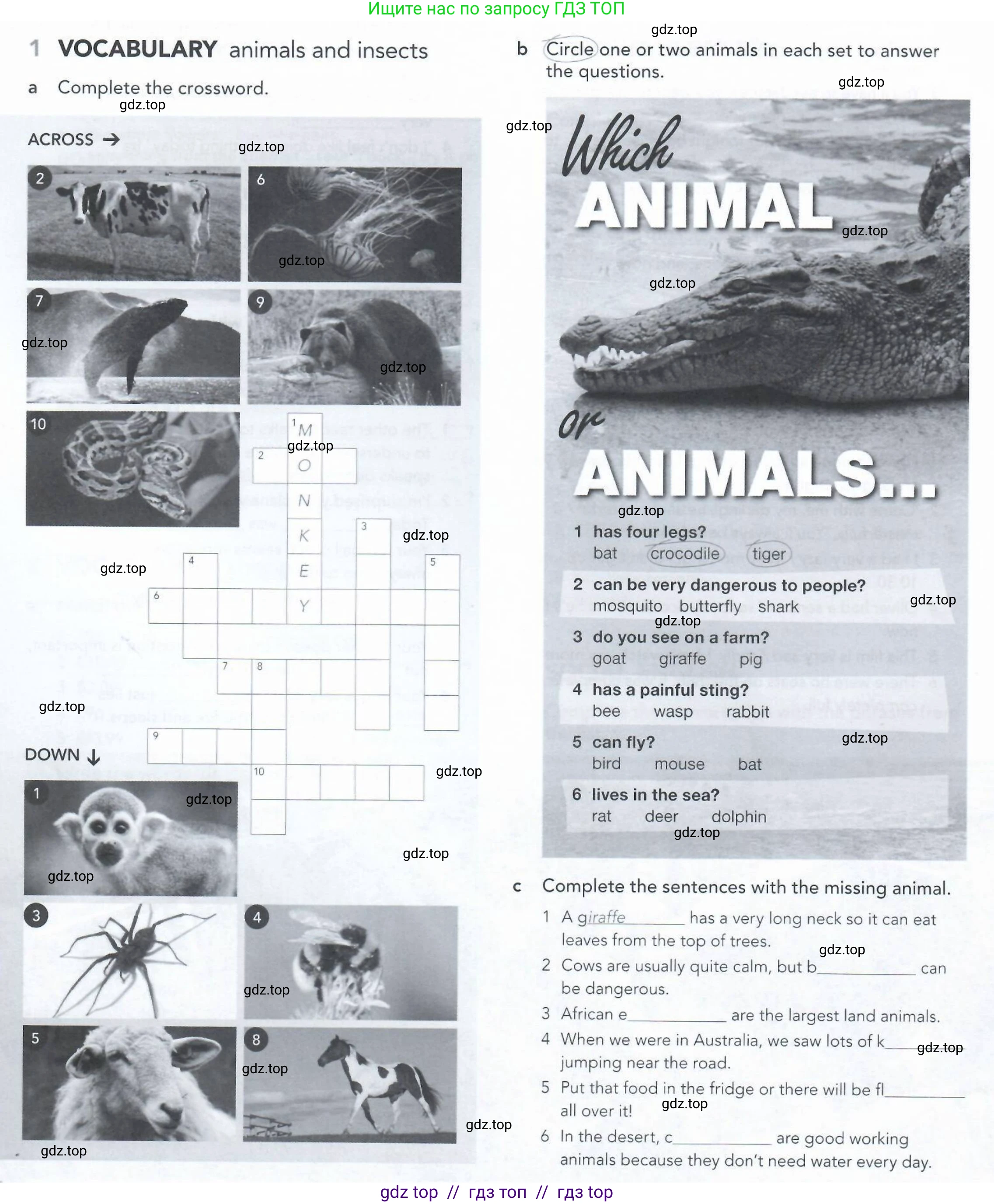 Английский язык (english), 5-11 класс Рабочая тетрадь (workbook), авторы: Latham-Koenig Christina, Oxenden Clive, Lambert Jerry, Seligson Paul, Duckworth Michael, издательство Oxford University Press, Москва, 2019, страница 60, номер 1, Условие