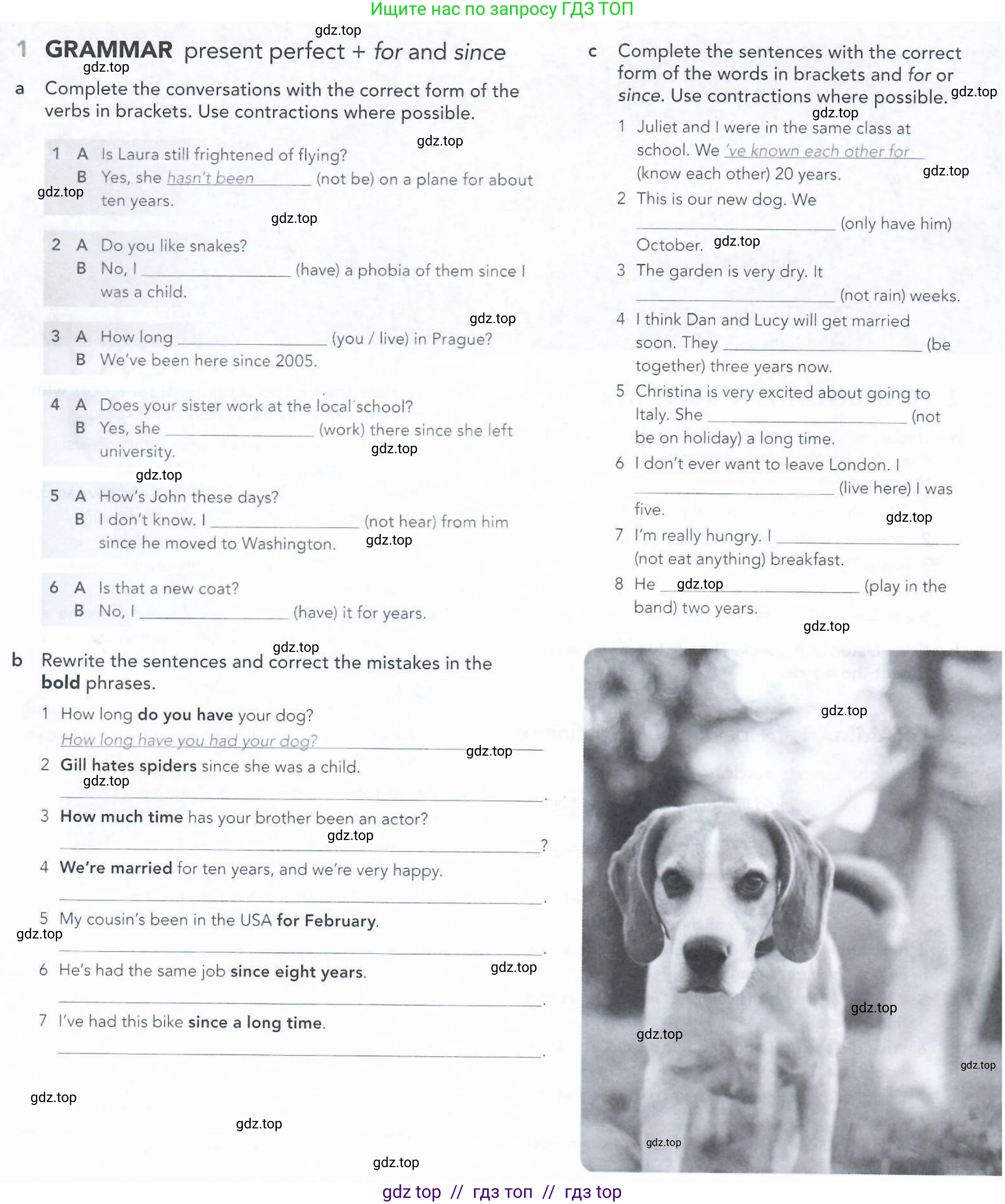 Английский язык (english), 5-11 класс Рабочая тетрадь (workbook), авторы: Latham-Koenig Christina, Oxenden Clive, Lambert Jerry, Seligson Paul, Duckworth Michael, издательство Oxford University Press, Москва, 2019, страница 62, номер 1, Условие