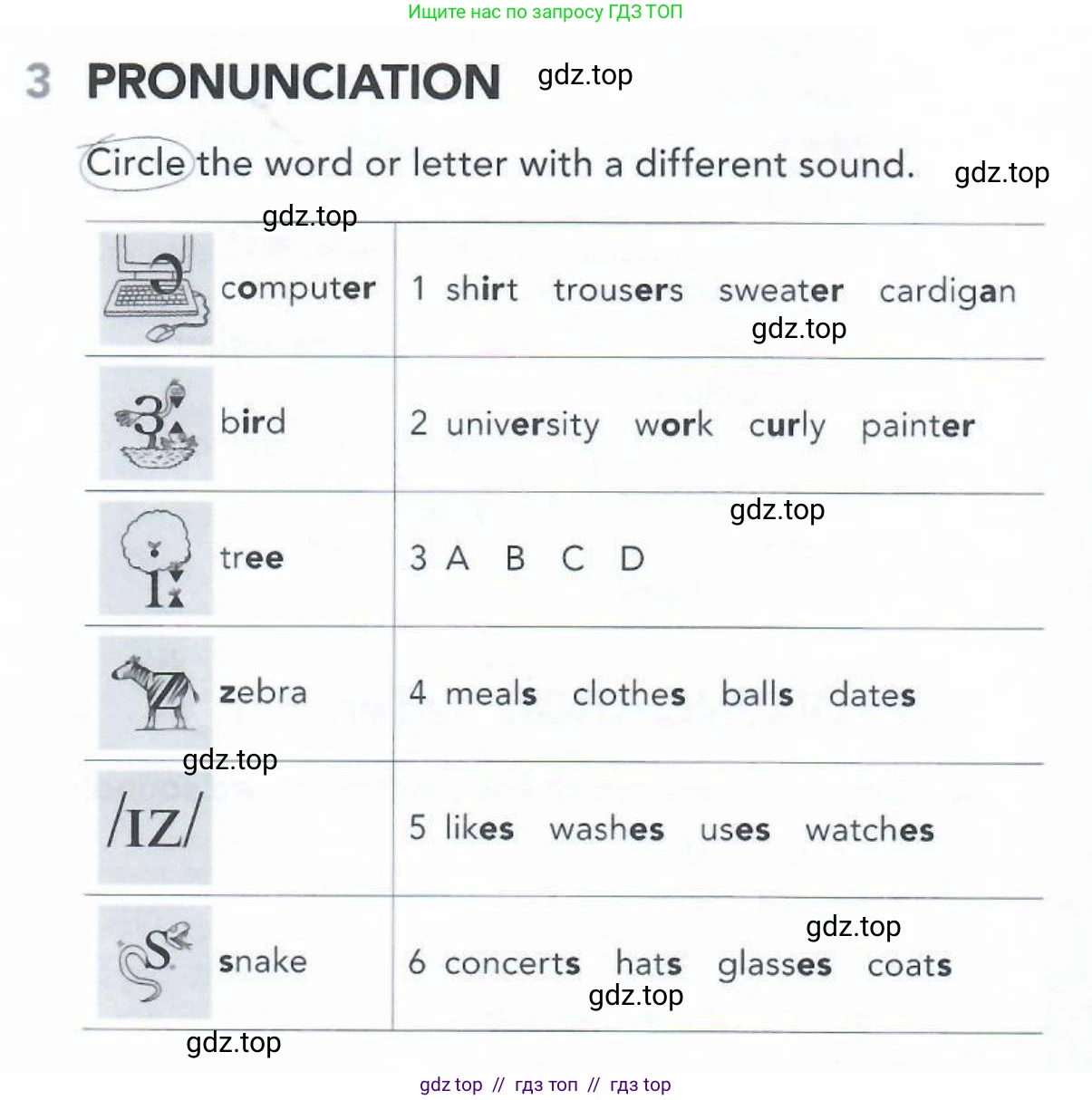 Английский язык (english), 5-11 класс Рабочая тетрадь (workbook), авторы: Latham-Koenig Christina, Oxenden Clive, Lambert Jerry, Seligson Paul, Duckworth Michael, издательство Oxford University Press, Москва, 2019, страница 11, номер 3, Условие