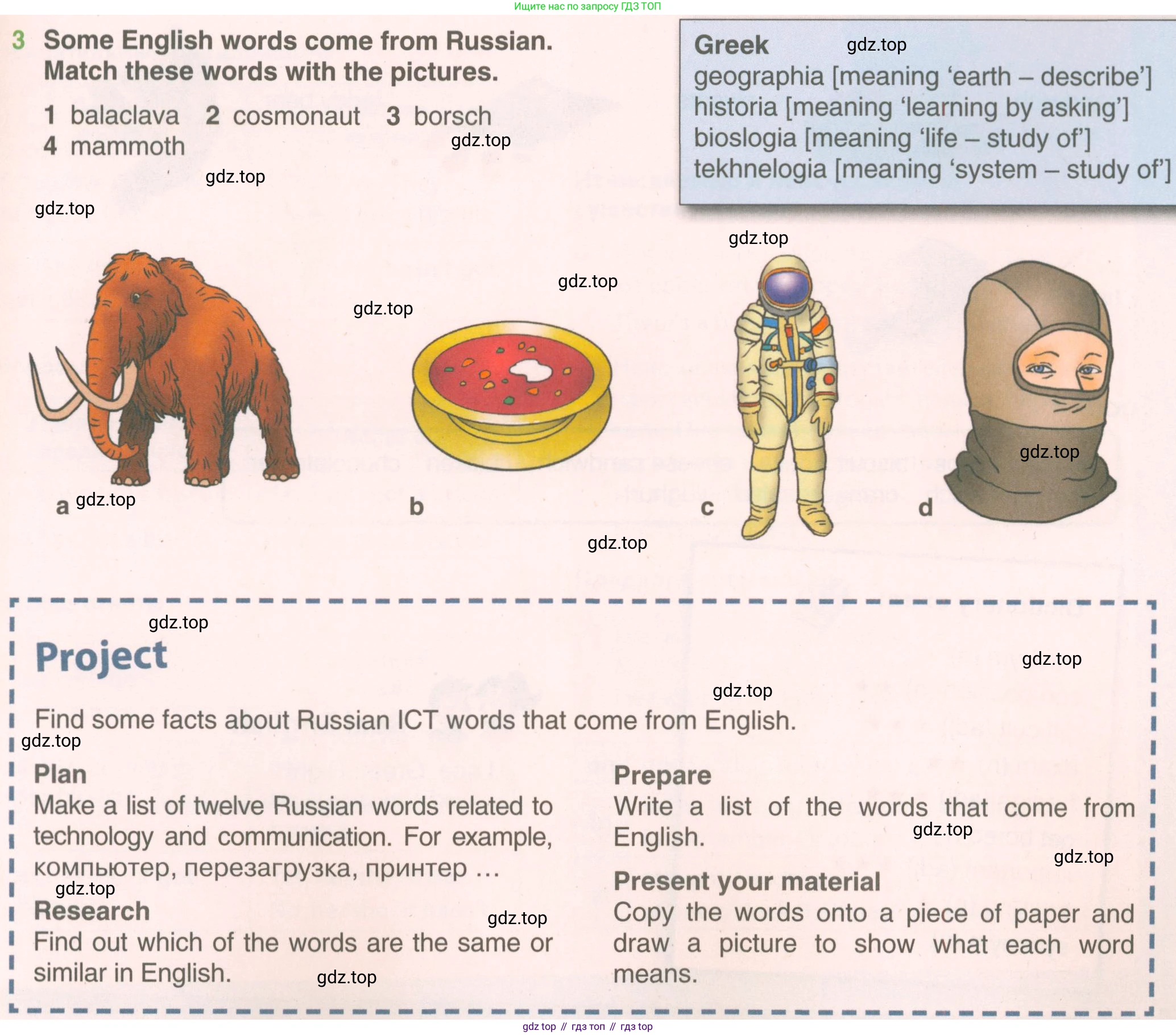 ГДЗ Английский язык (english), 5 класс Учебник (Student's book), авторы: Комарова Юлия Александровна, Ларионова Ирина Владимировна, издательство Русское слово, Москва, 2021, розового цвета, страница 29, номер 3, Условие