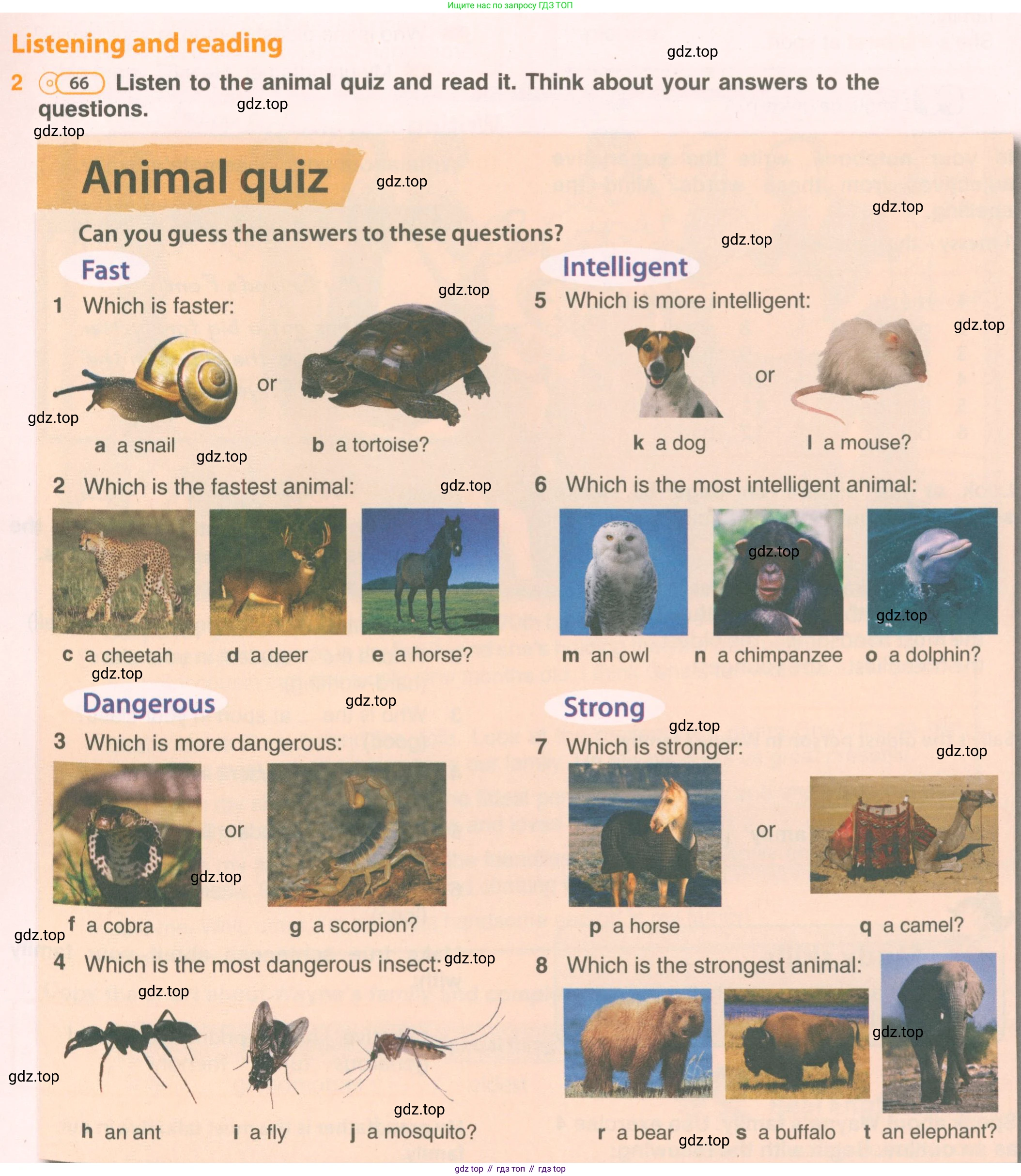 ГДЗ Английский язык (english), 5 класс Учебник (Student's book), авторы: Комарова Юлия Александровна, Ларионова Ирина Владимировна, издательство Русское слово, Москва, 2021, розового цвета, страница 68, номер 2, Условие