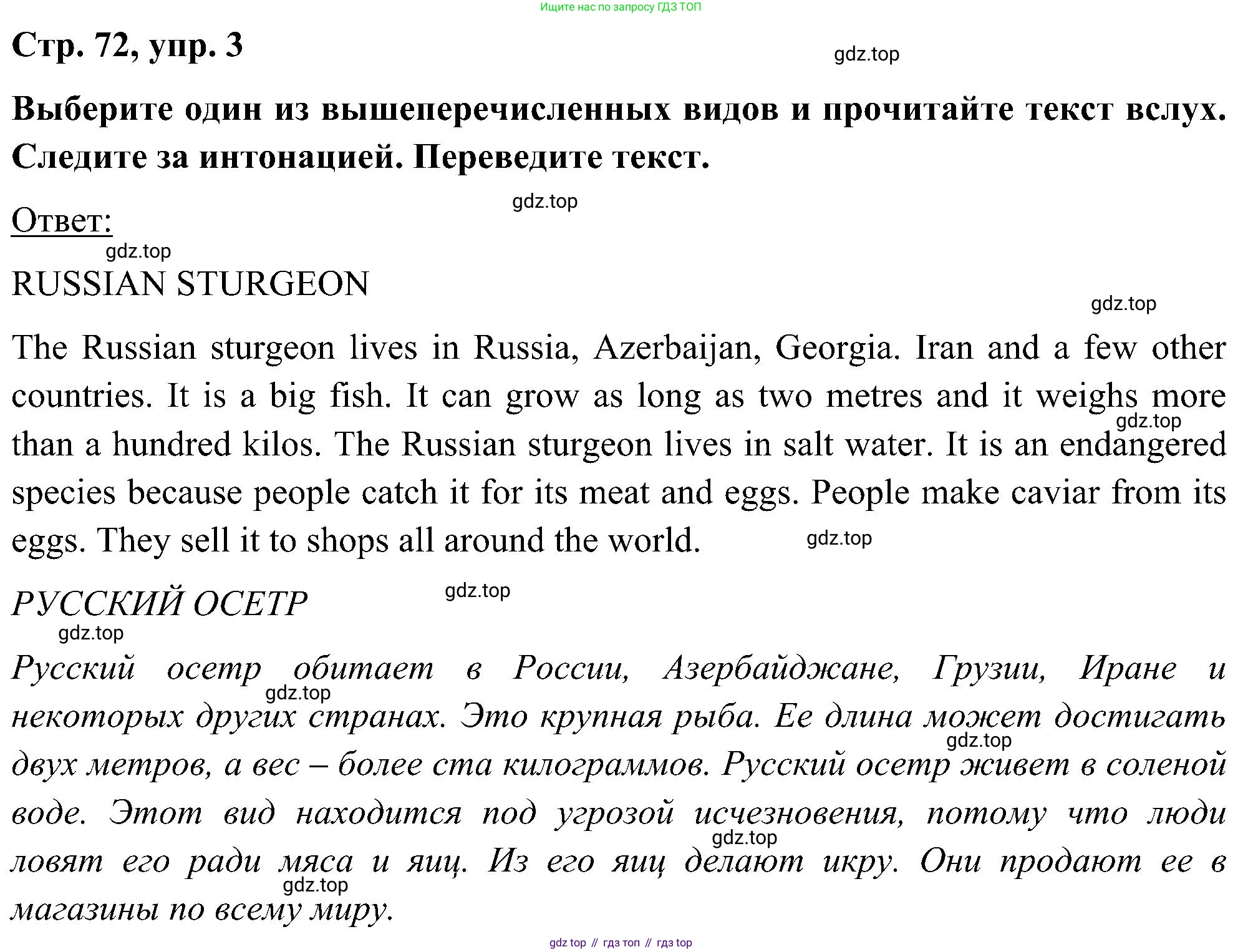 ГДЗ Английский язык (english), 5 класс Учебник (Student's book), авторы: Комарова Юлия Александровна, Ларионова Ирина Владимировна, издательство Русское слово, Москва, 2021, розового цвета, страница 72, номер 3, Решение