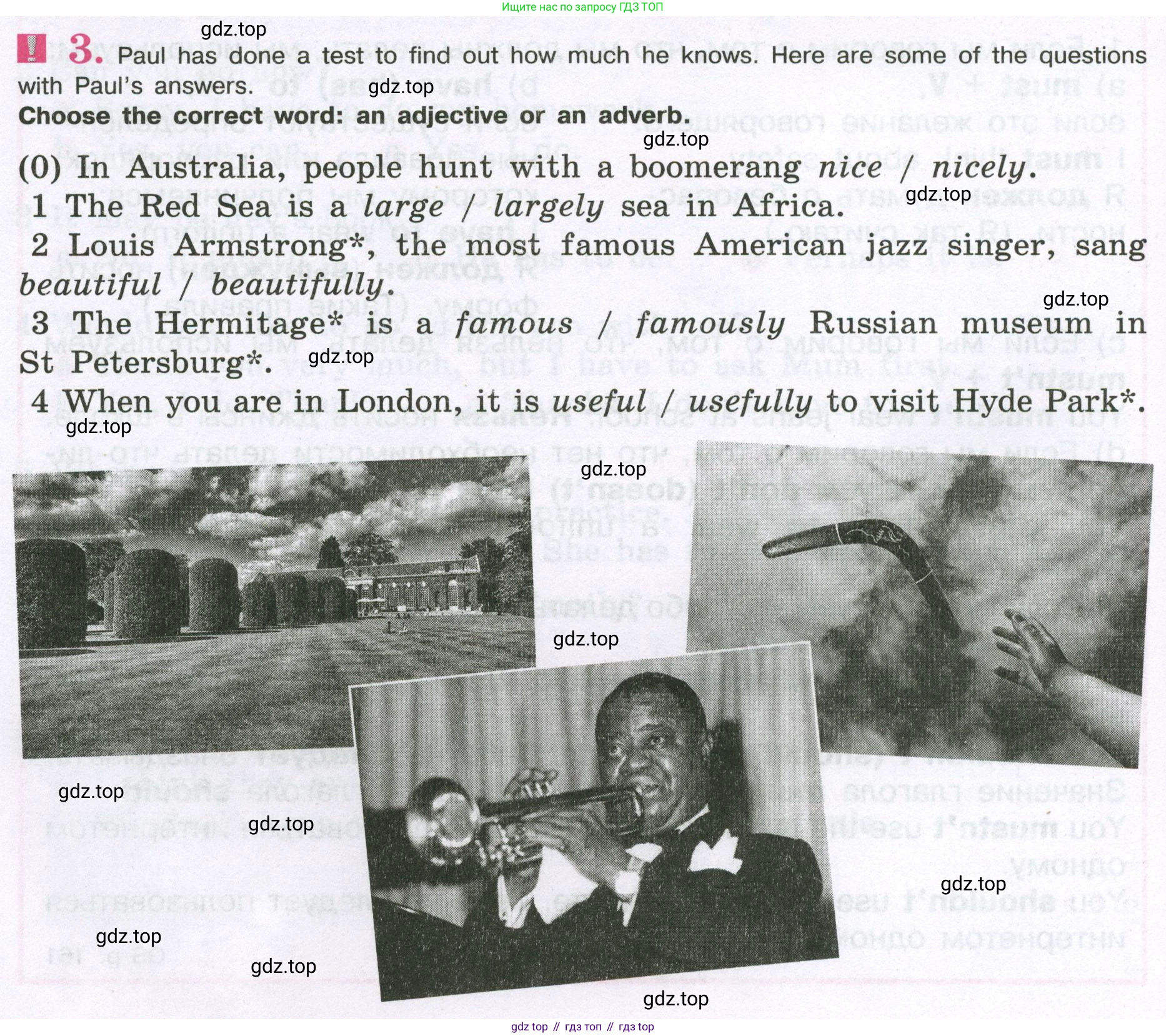 Английский язык (english), 5 класс рабочая тетрадь (activity book), авторы: Кузовлев Владимир Петрович (Kuzovlev Vladimir), Лапа Наталья Михайловна, Костина Ирина Павловна, Дуванова Ольга Викторовна, Кузнецова Елена Вячеславовна, издательство Просвещение, Москва, 2023, страница 28, номер 3, Условие 2023