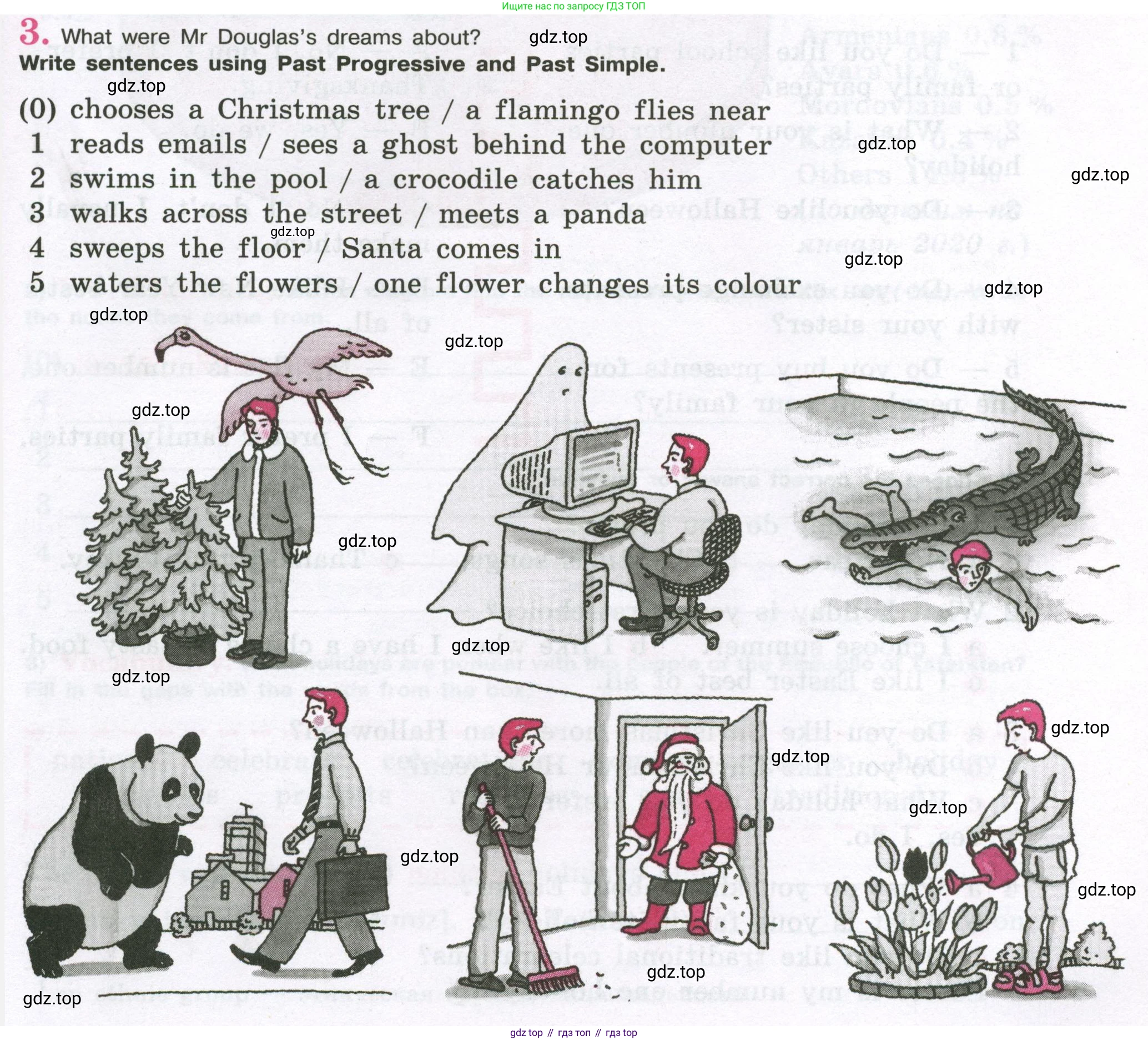 Английский язык (english), 5 класс рабочая тетрадь (activity book), авторы: Кузовлев Владимир Петрович (Kuzovlev Vladimir), Лапа Наталья Михайловна, Костина Ирина Павловна, Дуванова Ольга Викторовна, Кузнецова Елена Вячеславовна, издательство Просвещение, Москва, 2023, страница 73, номер 3, Условие 2023