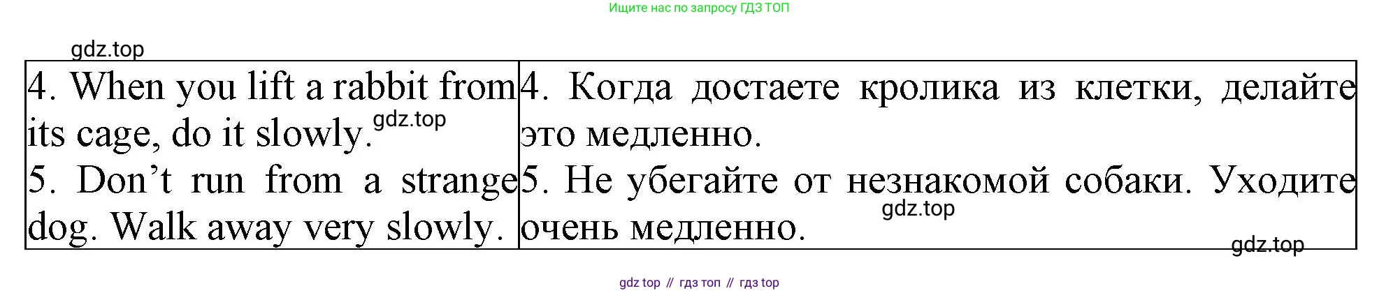 Английский язык (english), 5 класс рабочая тетрадь (activity book), авторы: Кузовлев Владимир Петрович (Kuzovlev Vladimir), Лапа Наталья Михайловна, Костина Ирина Павловна, Дуванова Ольга Викторовна, Кузнецова Елена Вячеславовна, издательство Просвещение, Москва, 2023, страница 24, номер 2, Решение 2023 (продолжение 2)