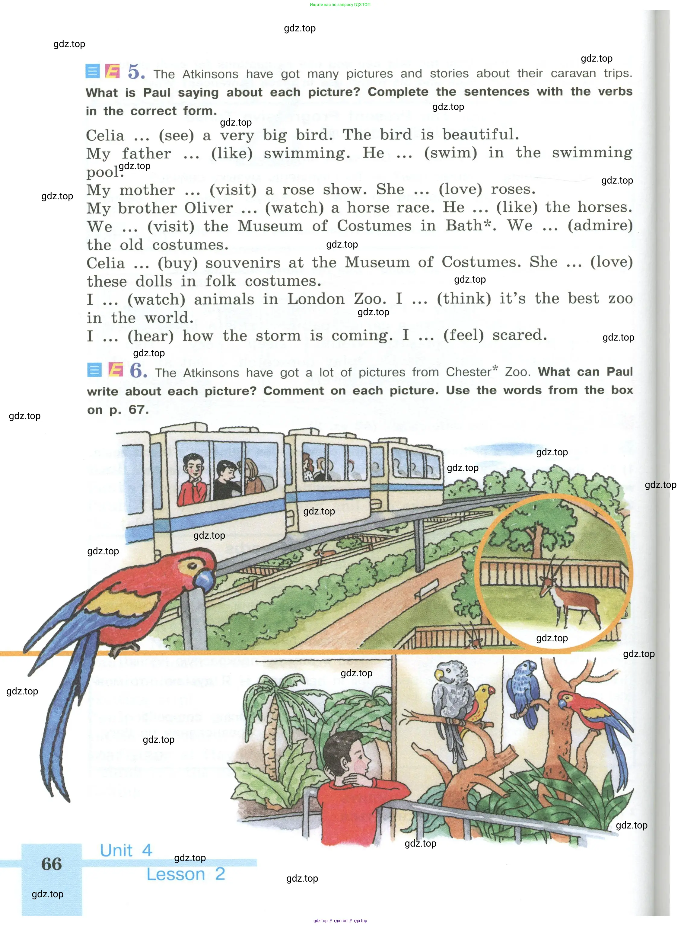 Английский язык (english), 5 класс Учебник (Student's book), авторы: Кузовлев Владимир Петрович (Kuzovlev Vladimir), Лапа Наталья Михайловна, Костина Ирина Павловна, Дуванова Ольга Викторовна, Кузнецова Елена Вячеславовна, издательство Просвещение, Москва, 2023, страница 66