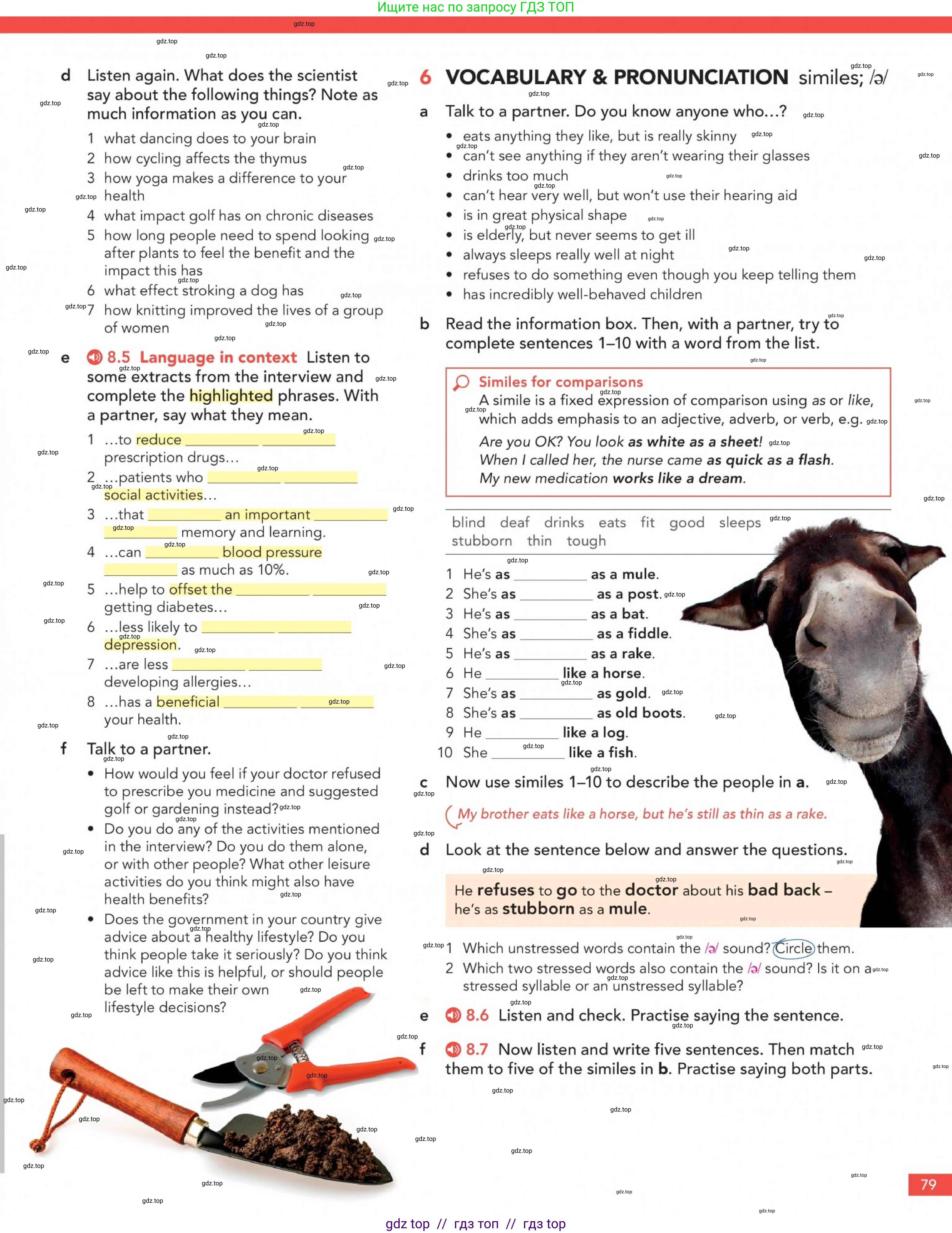 Английский язык (english), 5-11 класс Учебник (Student's book), авторы: Latham-Koenig Christina, Oxenden Clive, Lambert Jerry, Chomacki Kate, издательство Oxford University Press, Москва, 2019, белого цвета, страница 79