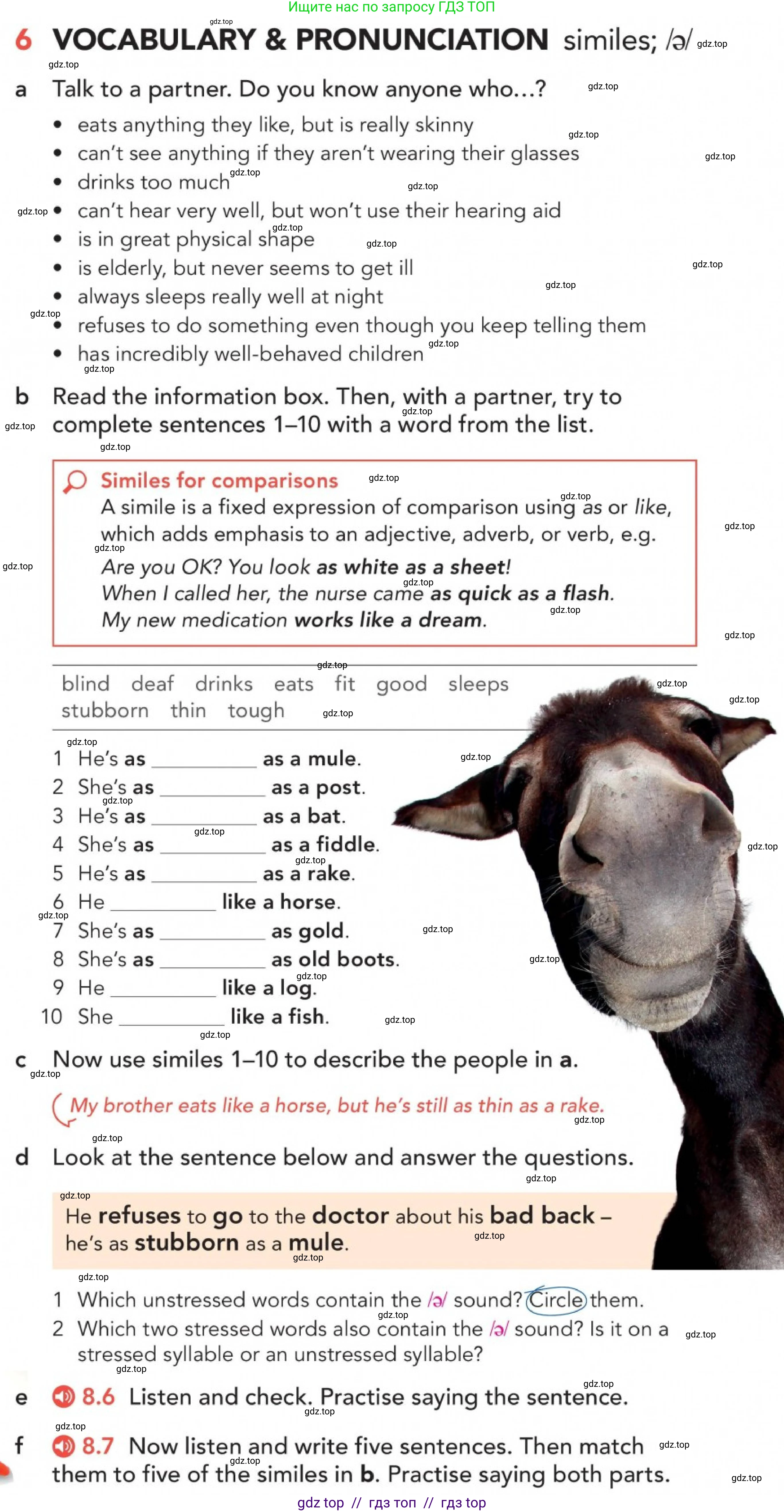 Английский язык (english), 5-11 класс Учебник (Student's book), авторы: Latham-Koenig Christina, Oxenden Clive, Lambert Jerry, Chomacki Kate, издательство Oxford University Press, Москва, 2019, белого цвета, страница 79, номер 6, Условие