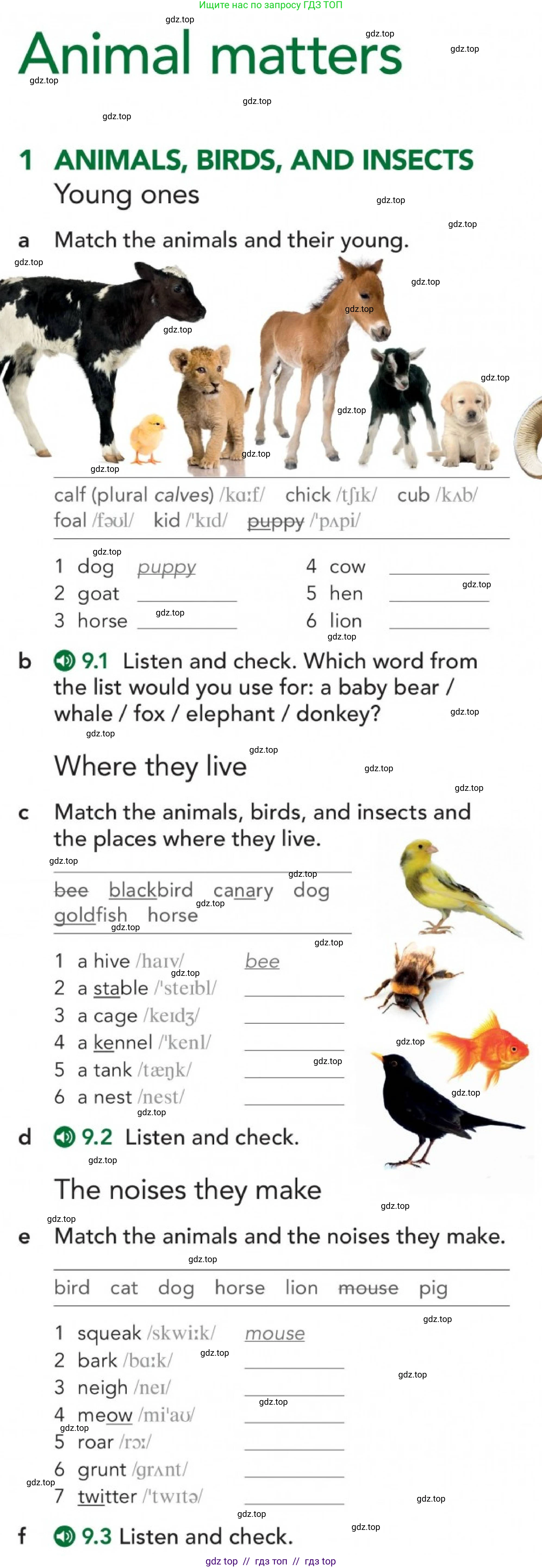 Английский язык (english), 5-11 класс Учебник (Student's book), авторы: Latham-Koenig Christina, Oxenden Clive, Lambert Jerry, Chomacki Kate, издательство Oxford University Press, Москва, 2019, белого цвета, страница 87, номер 2, Условие (продолжение 4)