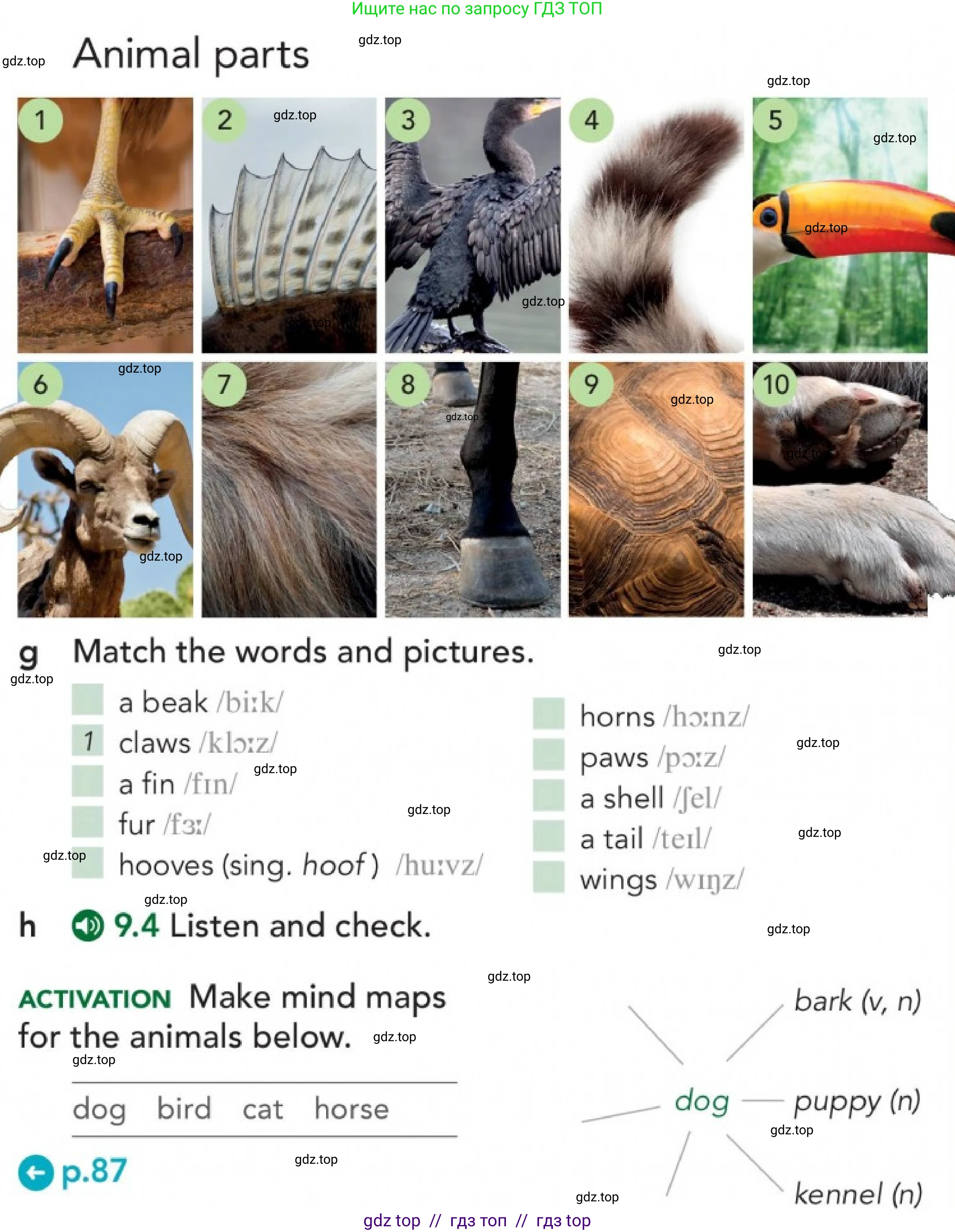 Английский язык (english), 5-11 класс Учебник (Student's book), авторы: Latham-Koenig Christina, Oxenden Clive, Lambert Jerry, Chomacki Kate, издательство Oxford University Press, Москва, 2019, белого цвета, страница 87, номер 2, Условие (продолжение 5)