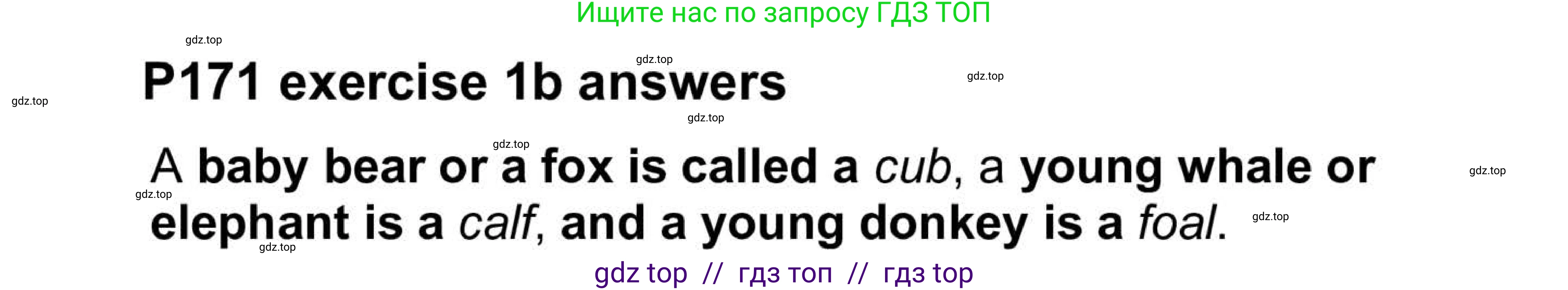 Английский язык (english), 5-11 класс Учебник (Student's book), авторы: Latham-Koenig Christina, Oxenden Clive, Lambert Jerry, Chomacki Kate, издательство Oxford University Press, Москва, 2019, белого цвета, страница 87, номер 2, Answers